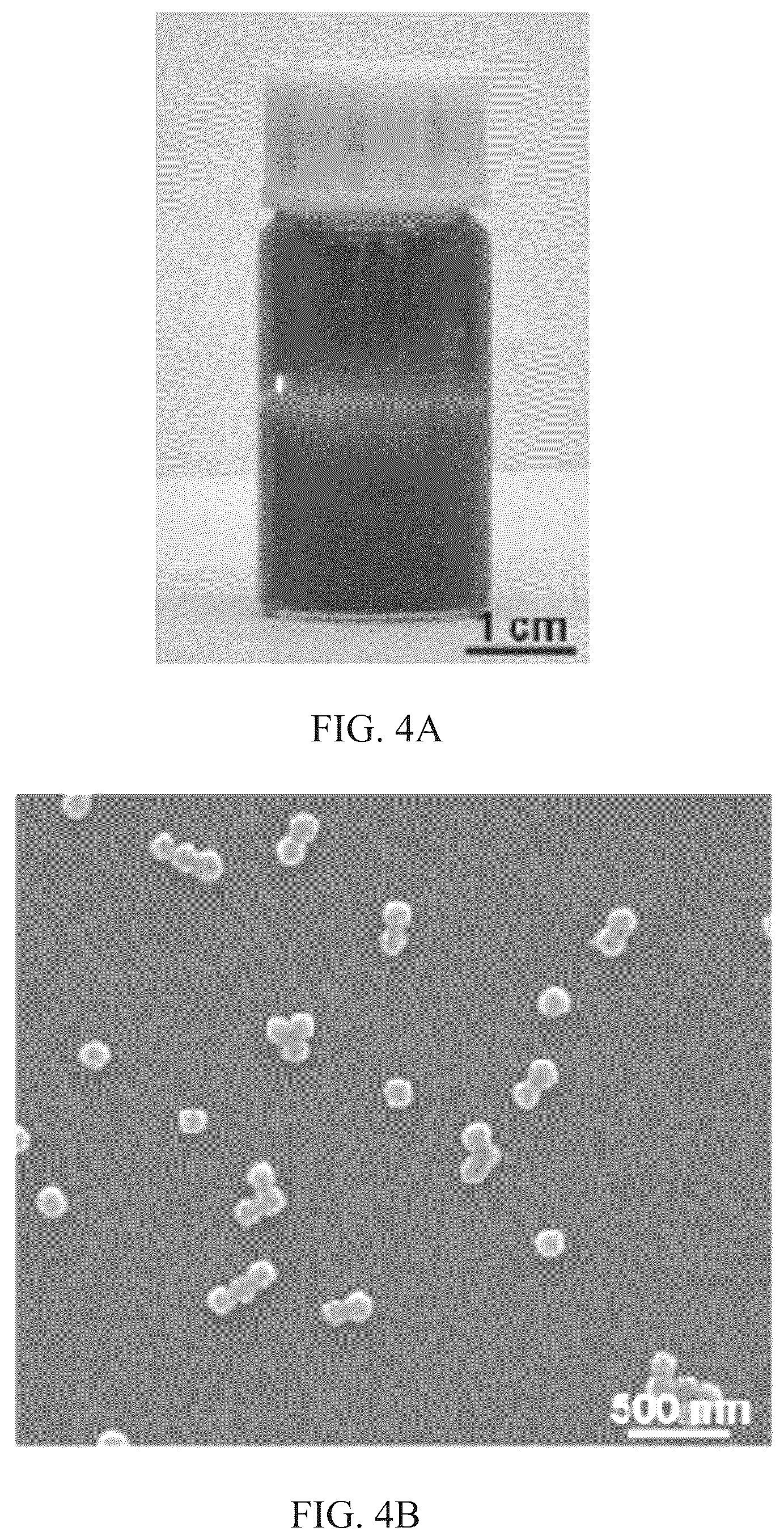 Patent US12324798 Figure 6 – Leonurine nanocomposite hydrogel and preparation methods and applications thereof