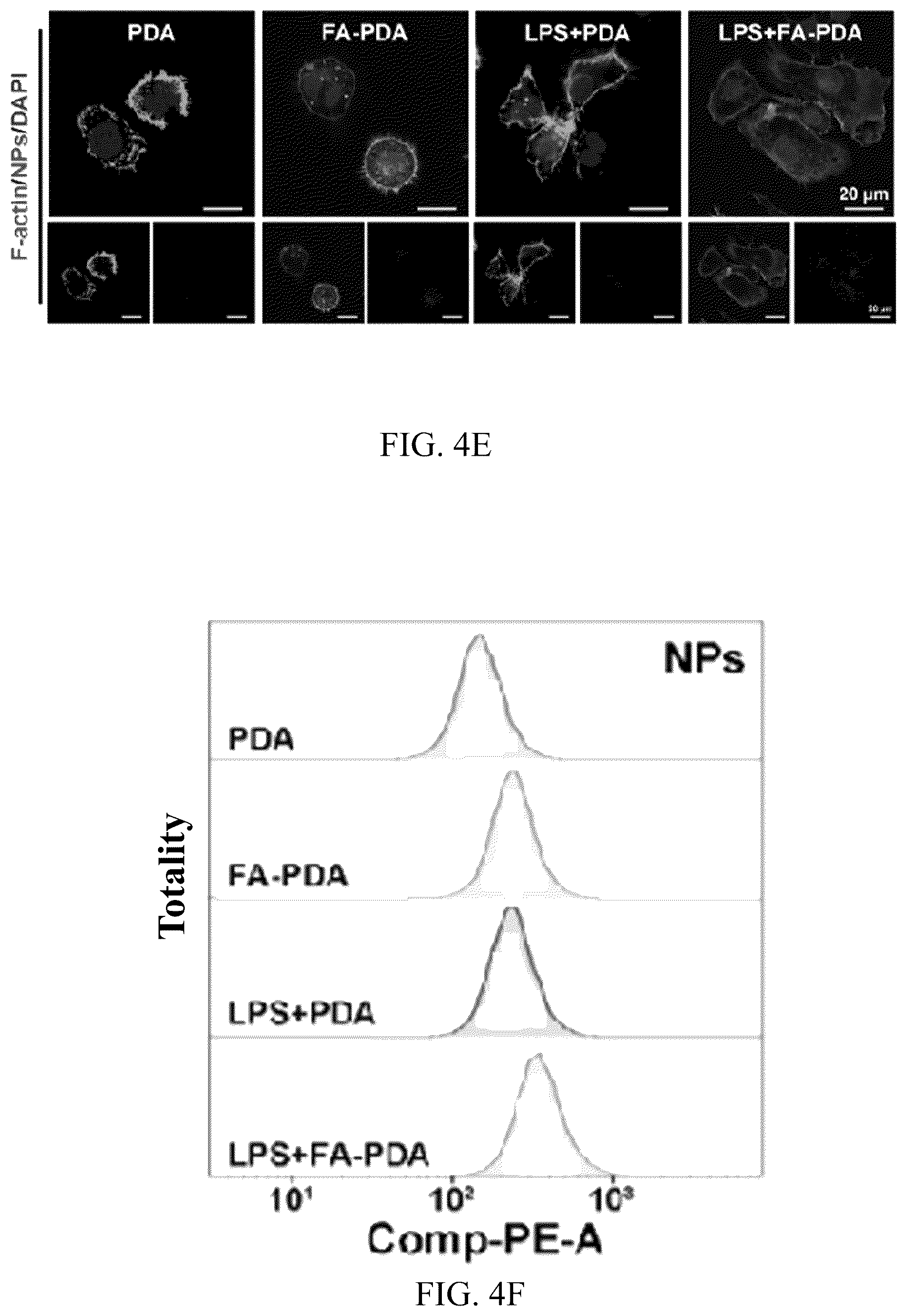 Patent US12324798 Figure 8 – Leonurine nanocomposite hydrogel and preparation methods and applications thereof