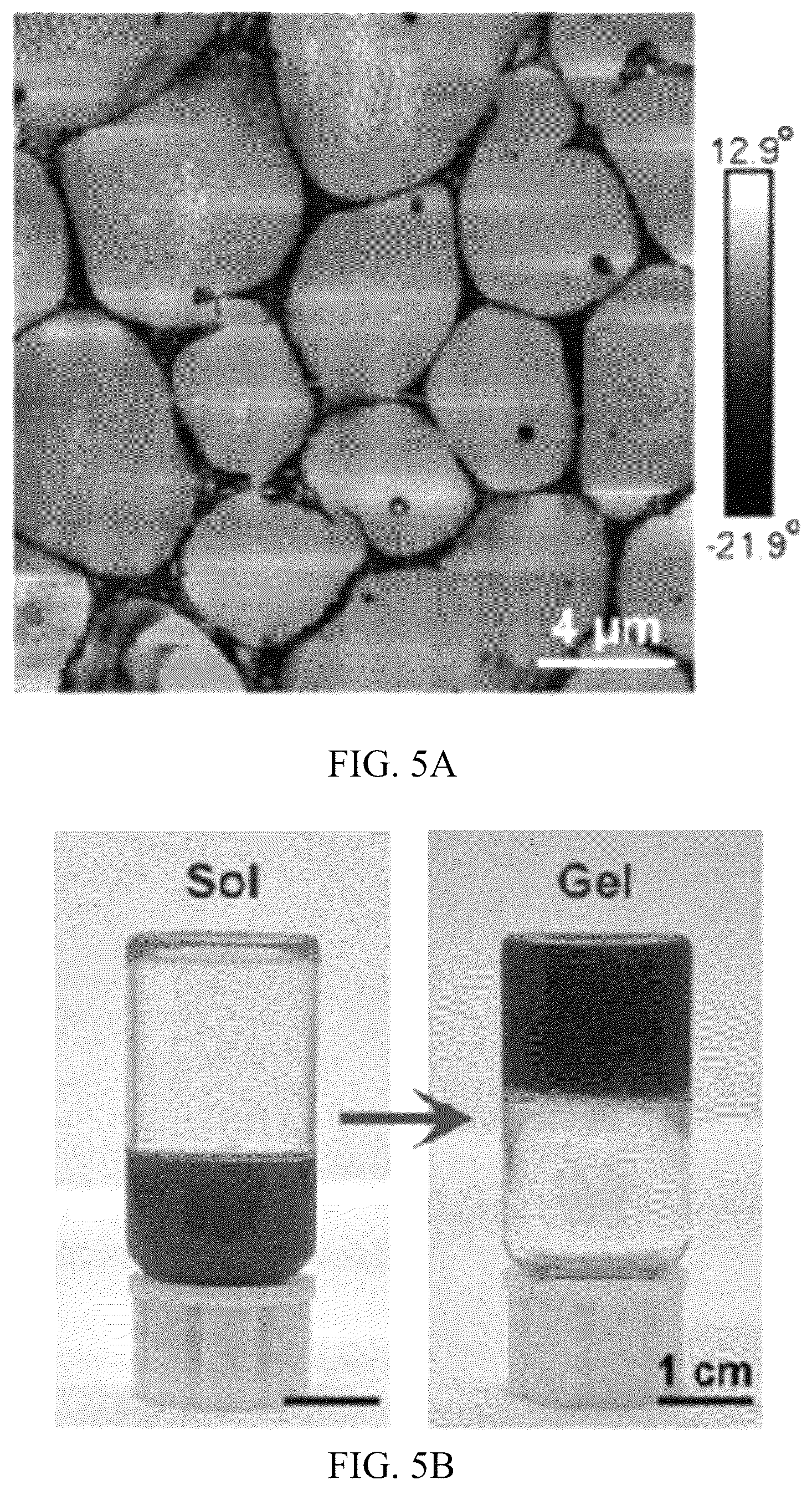 Patent US12324798 Figure 12 – Leonurine nanocomposite hydrogel and preparation methods and applications thereof