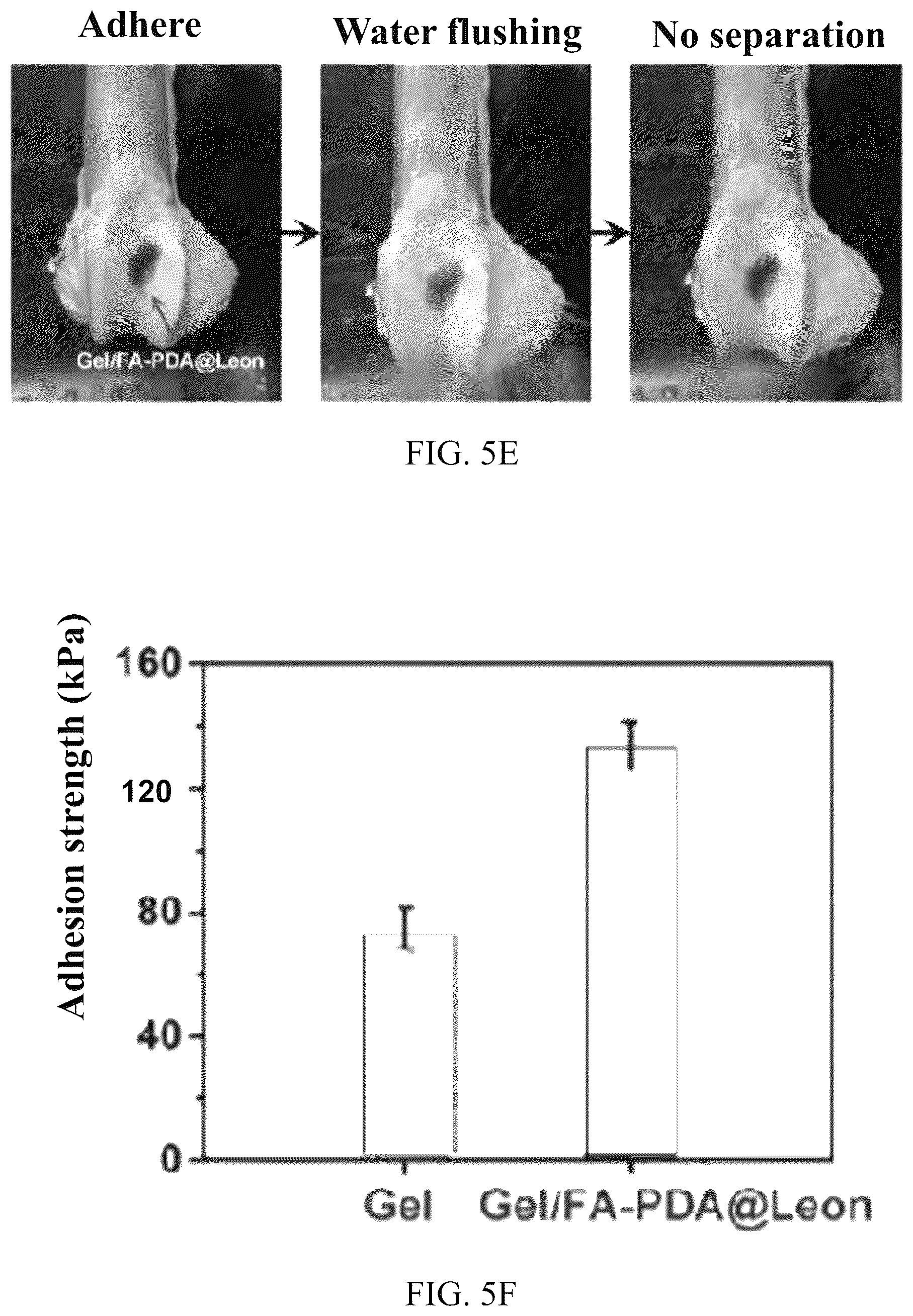 Patent US12324798 Figure 14 – Leonurine nanocomposite hydrogel and preparation methods and applications thereof