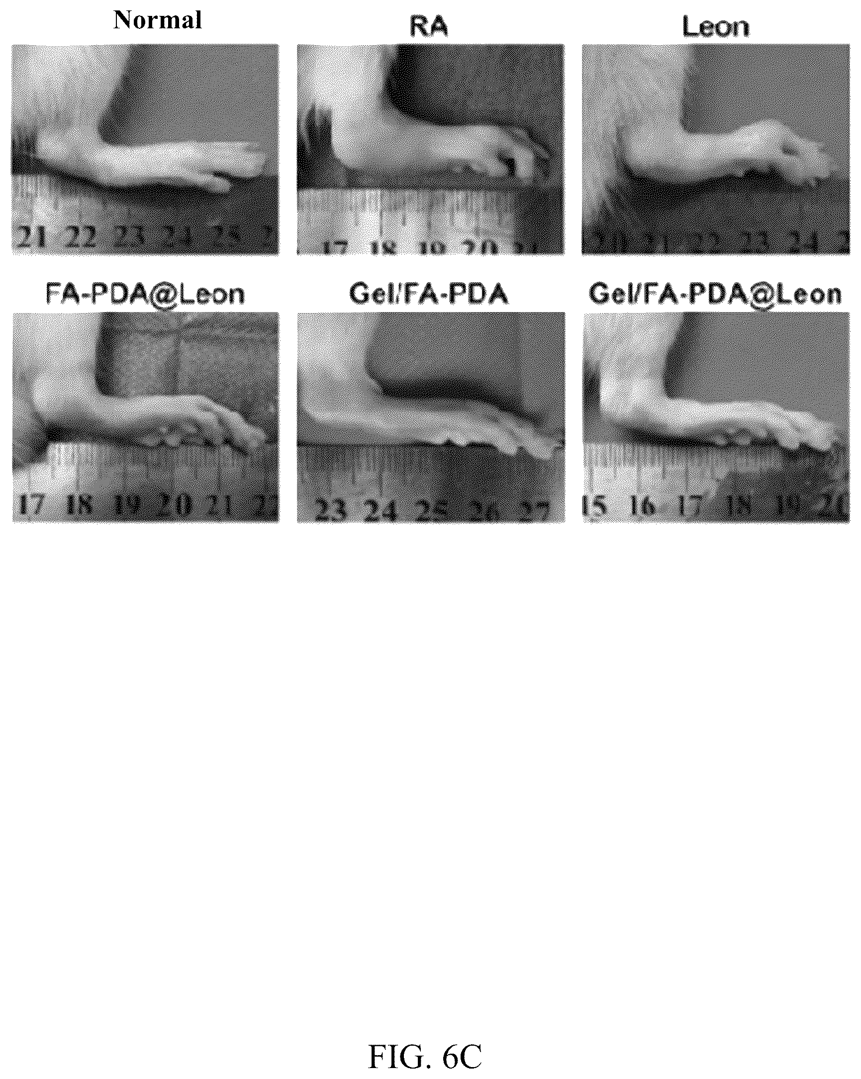 Patent US12324798 Figure 17 – Leonurine nanocomposite hydrogel and preparation methods and applications thereof