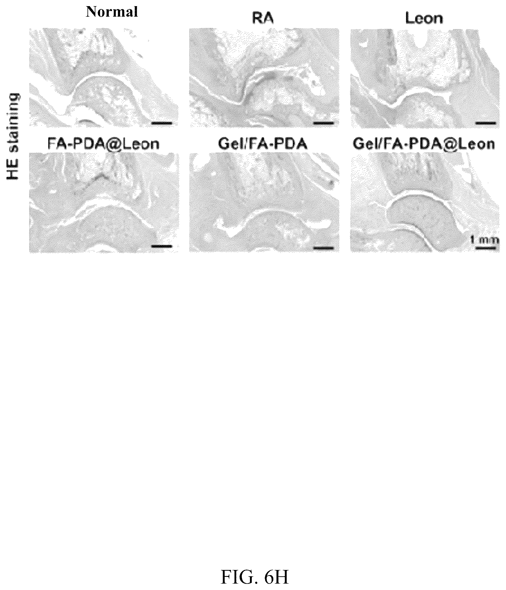 Patent US12324798 Figure 20 – Leonurine nanocomposite hydrogel and preparation methods and applications thereof