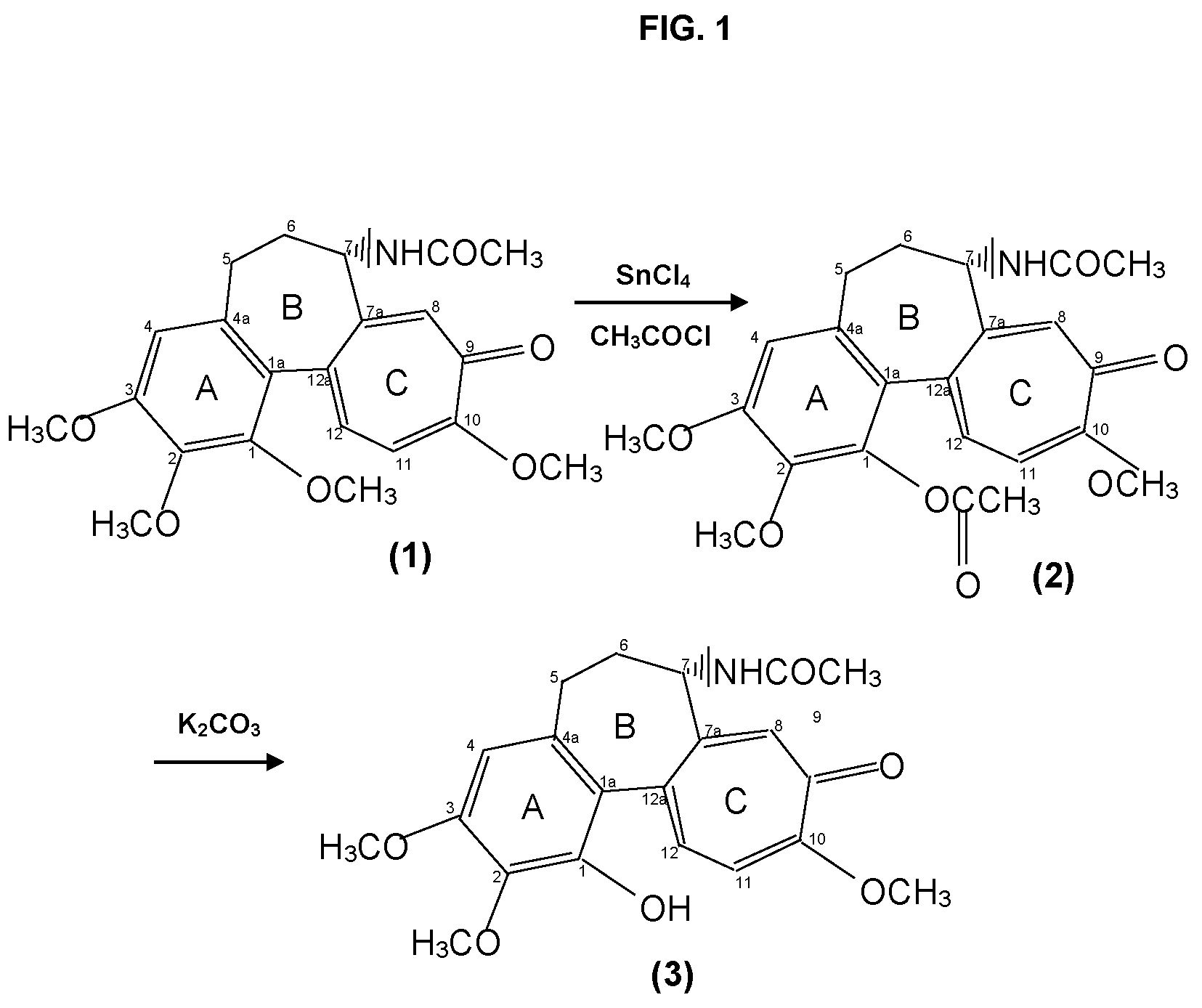 Patent US12324799 Figure 1 – Methods and uses of colchicine derivatives