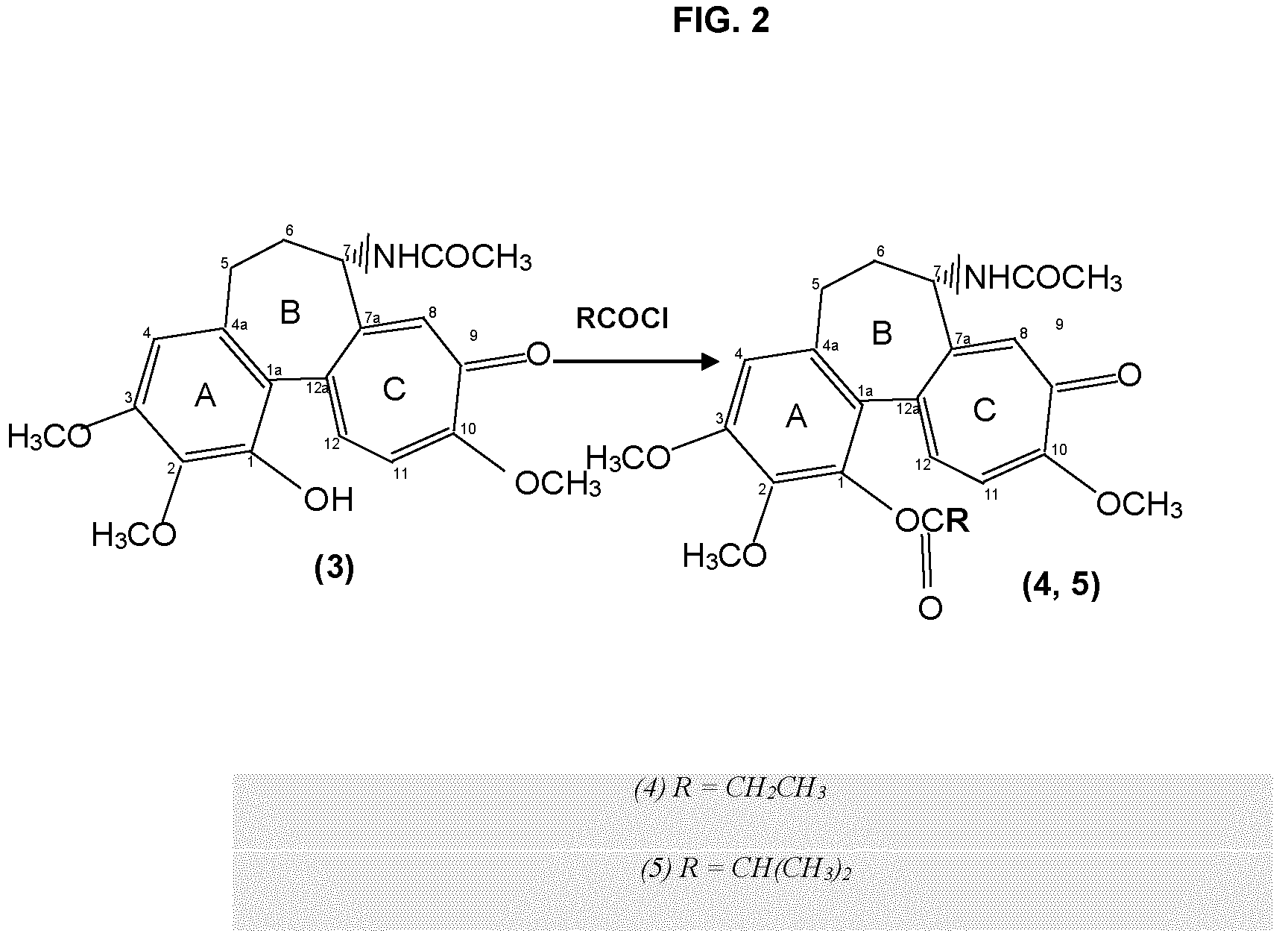 Patent US12324799 Figure 2 – Methods and uses of colchicine derivatives