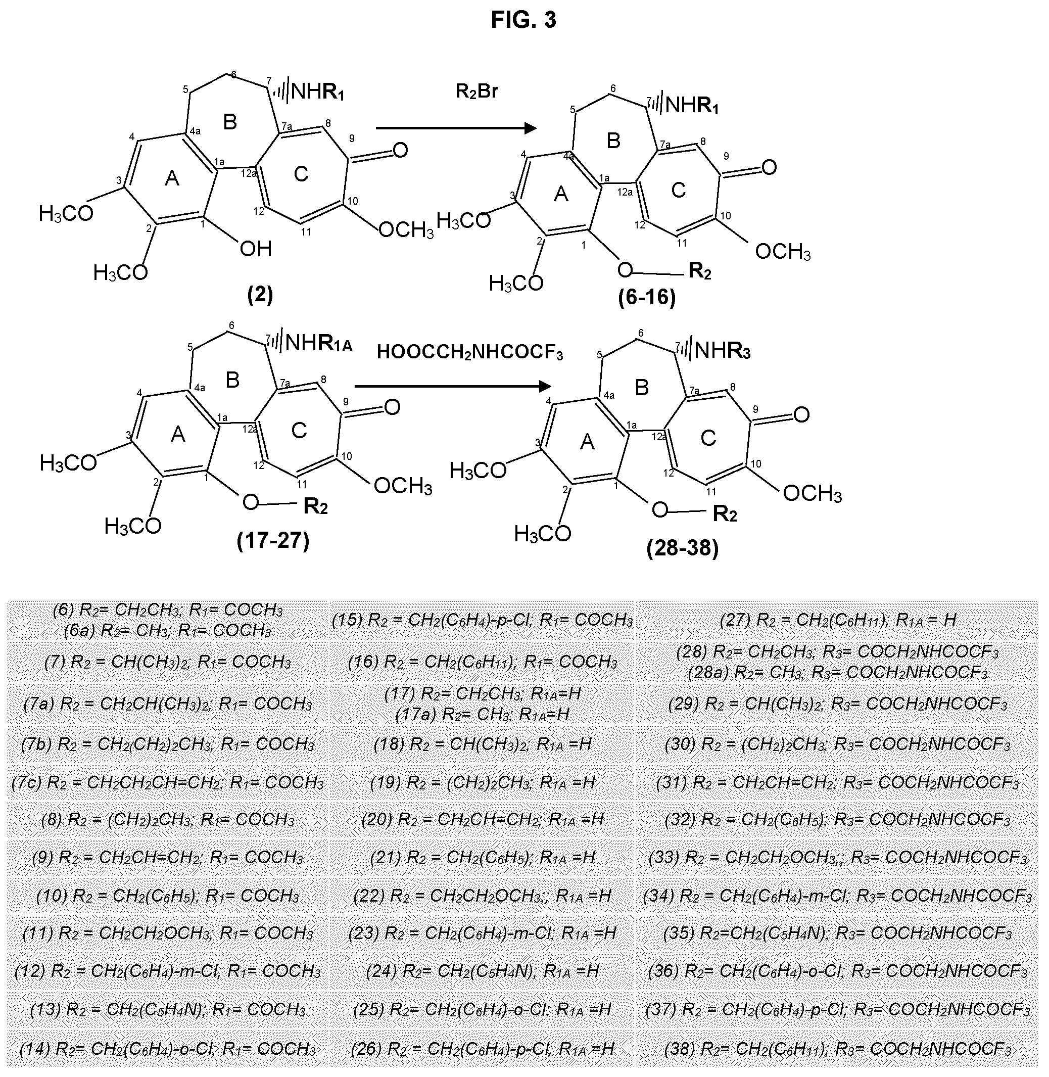 Patent US12324799 Figure 3 – Methods and uses of colchicine derivatives