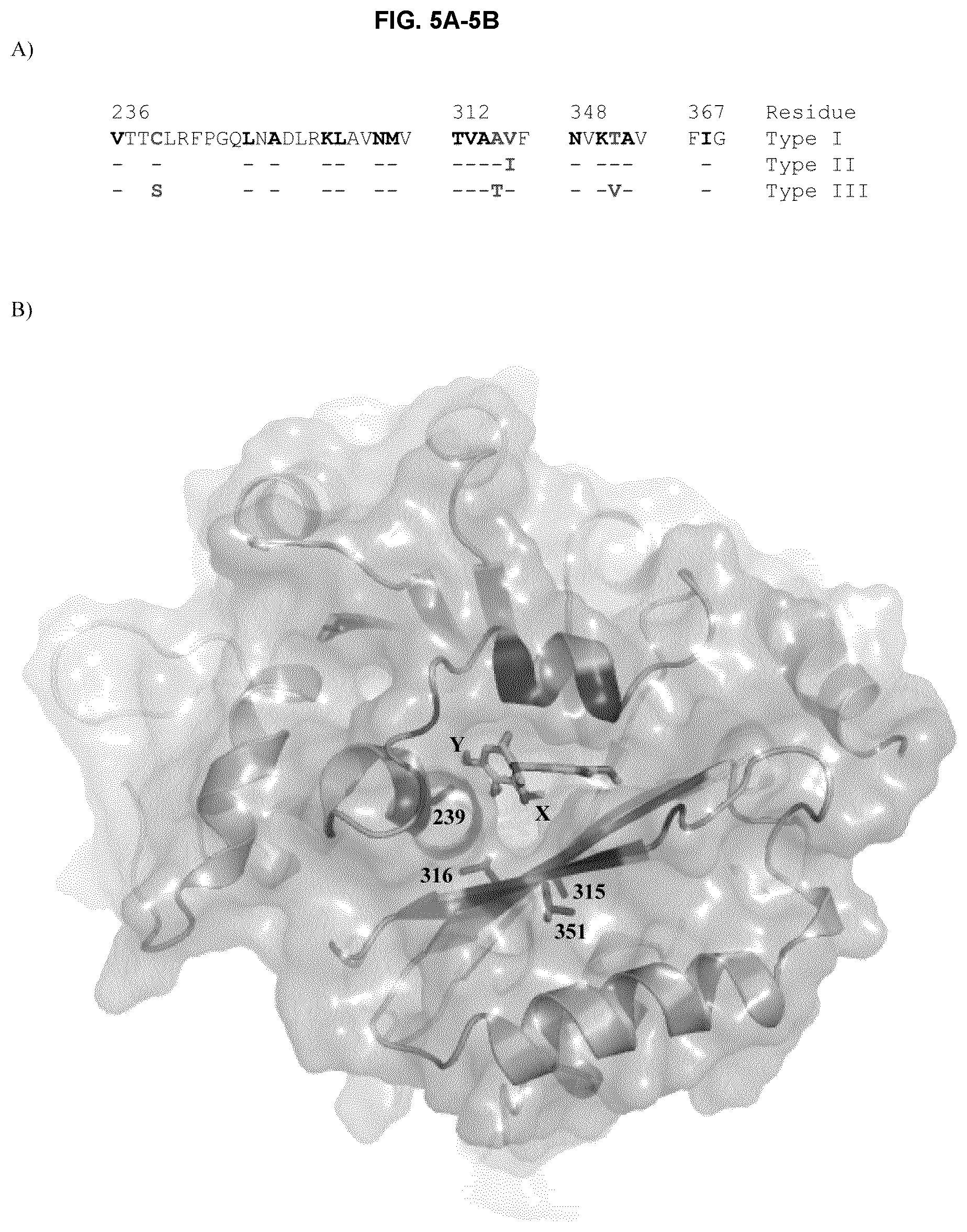Patent US12324799 Figure 10 – Methods and uses of colchicine derivatives