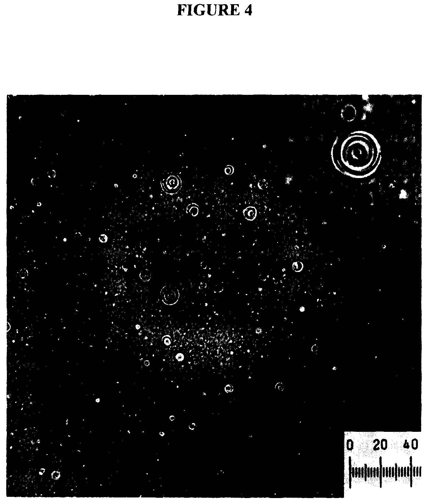 Patent US12324800 Figure 4 – Lecithin vesicles
