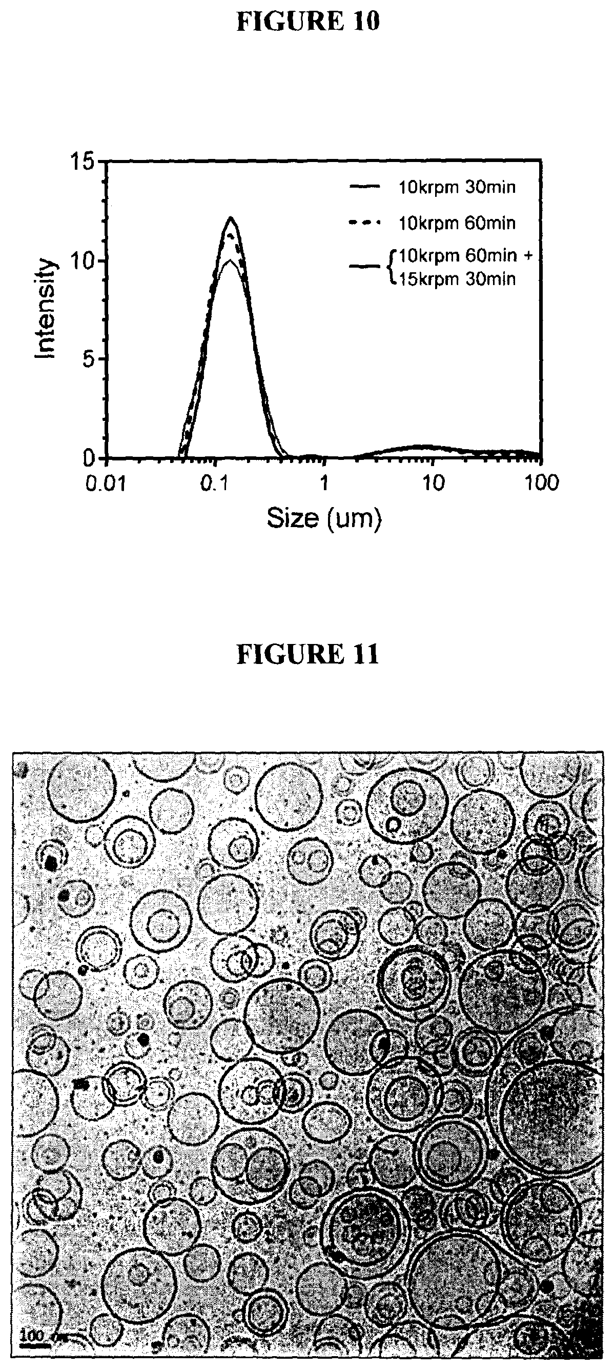 Patent US12324800 Figure 8 – Lecithin vesicles