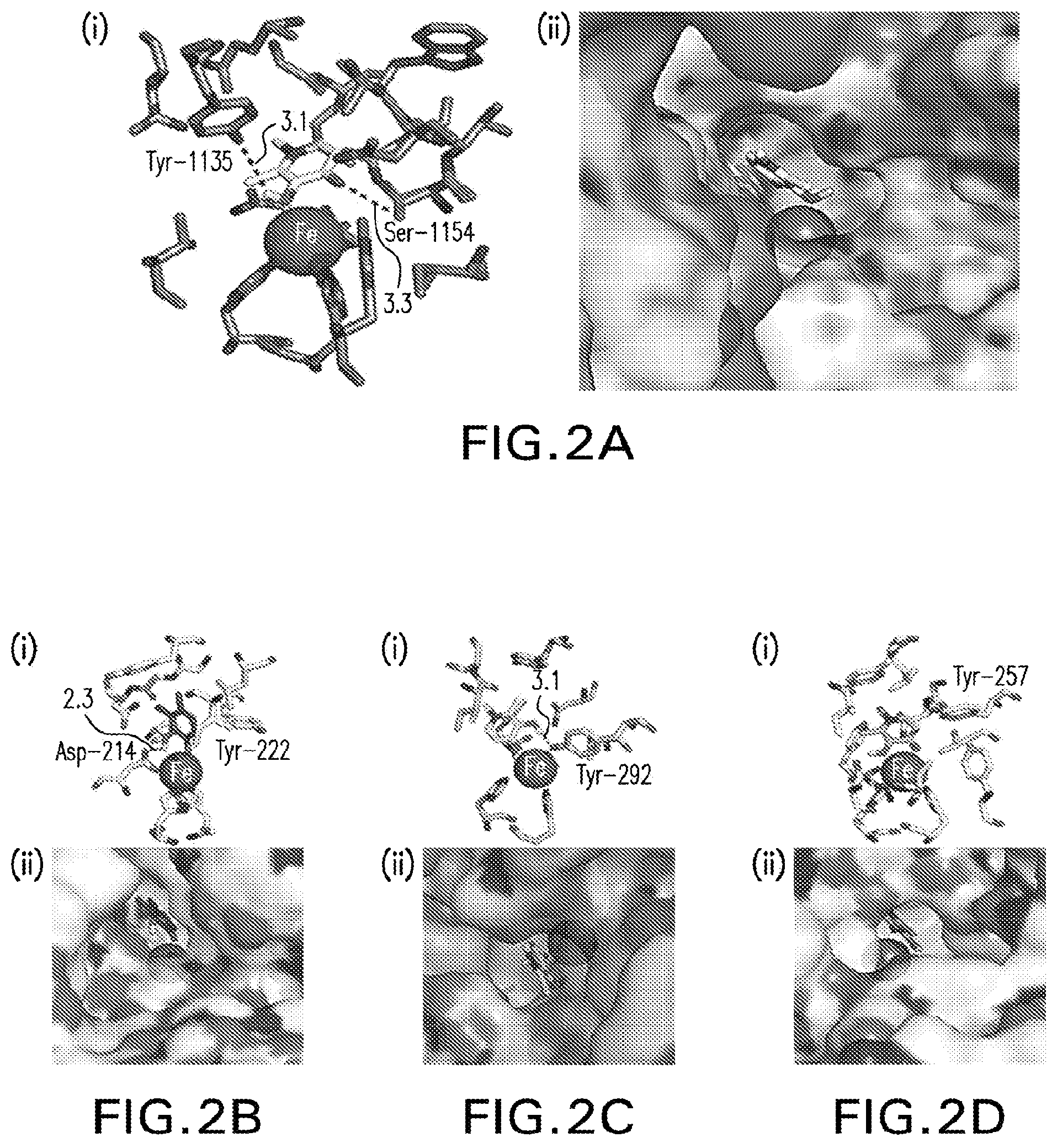 Patent US12324803 Figure 2 – 3-(hydroxy)-pyridin-4(1H)-one compounds and methods of making and using the same