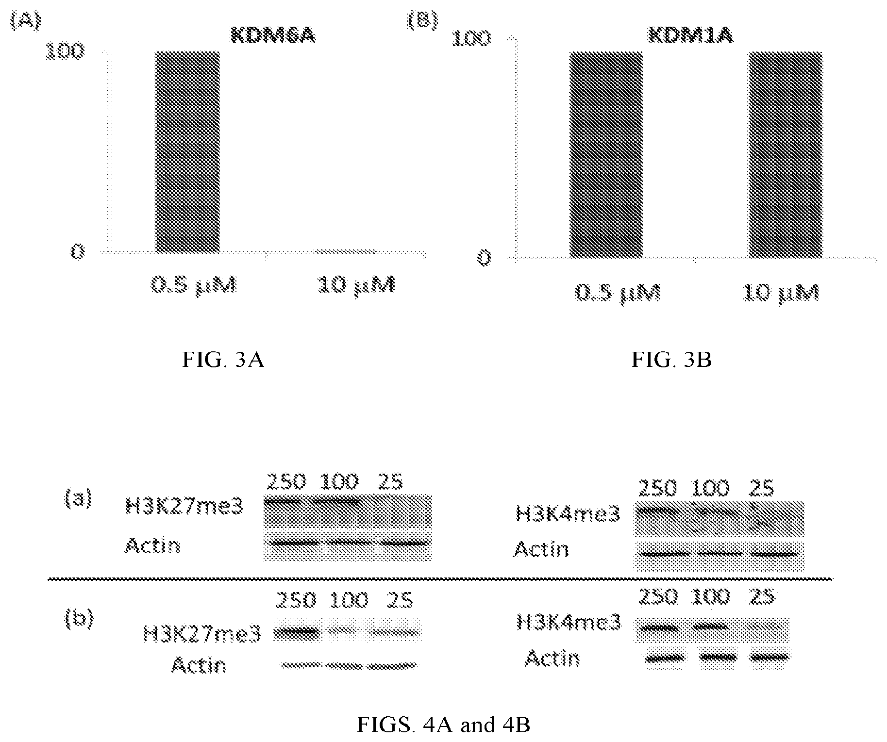 Patent US12324803 Figure 3 – 3-(hydroxy)-pyridin-4(1H)-one compounds and methods of making and using the same