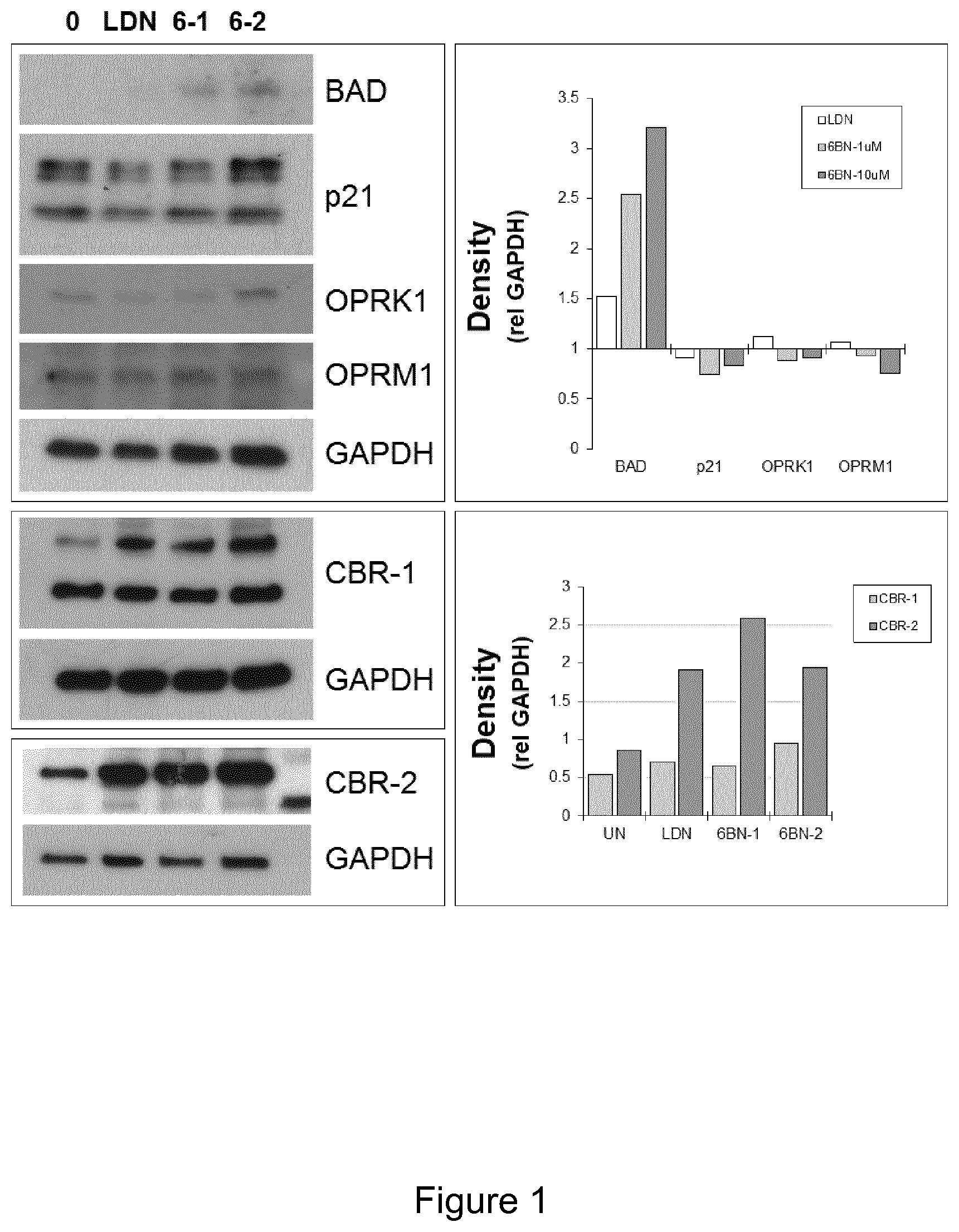 Patent US12324805 Figure 1 – Cancer treatment