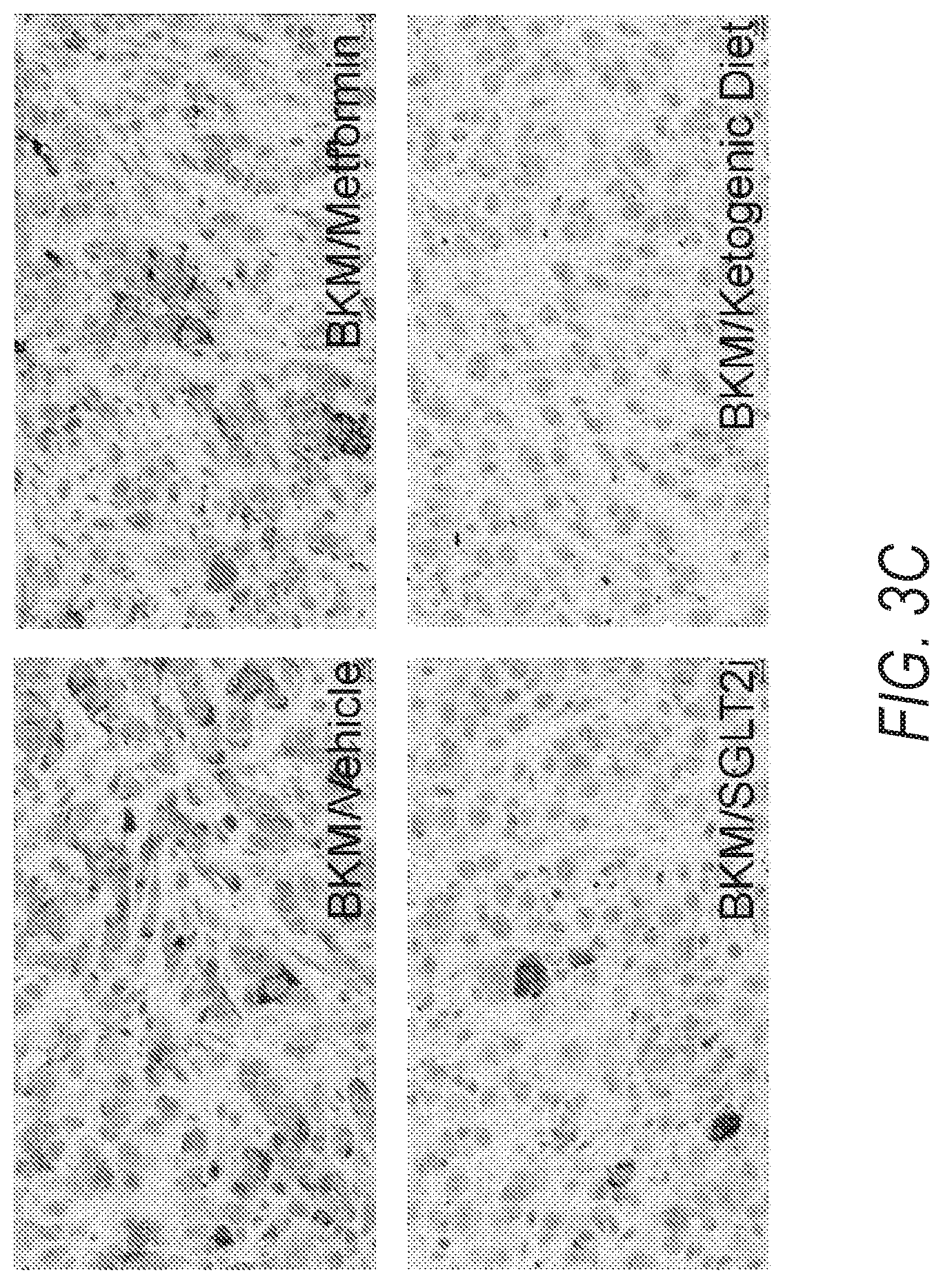 Patent US12324807 Figure 8 – Combination therapy for PI3K-associated disease or disorder