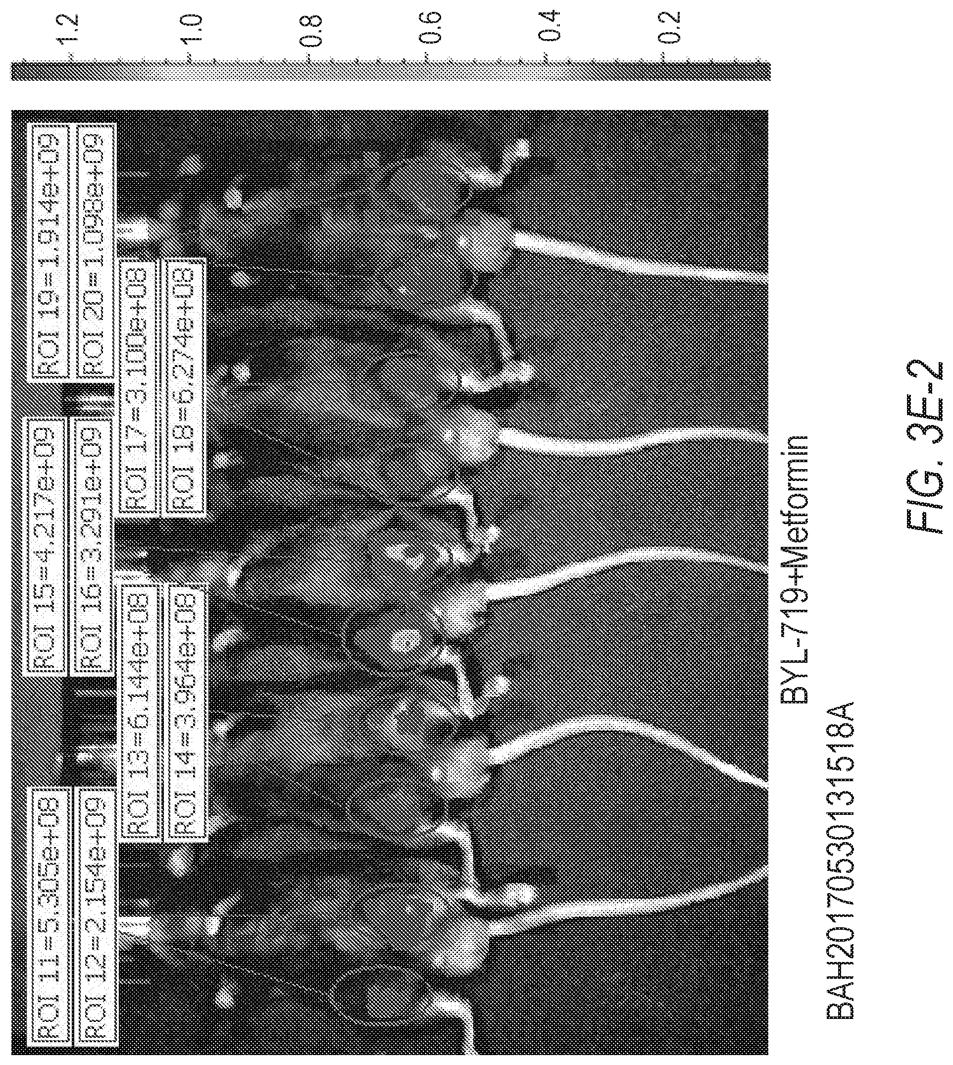 Patent US12324807 Figure 11 – Combination therapy for PI3K-associated disease or disorder
