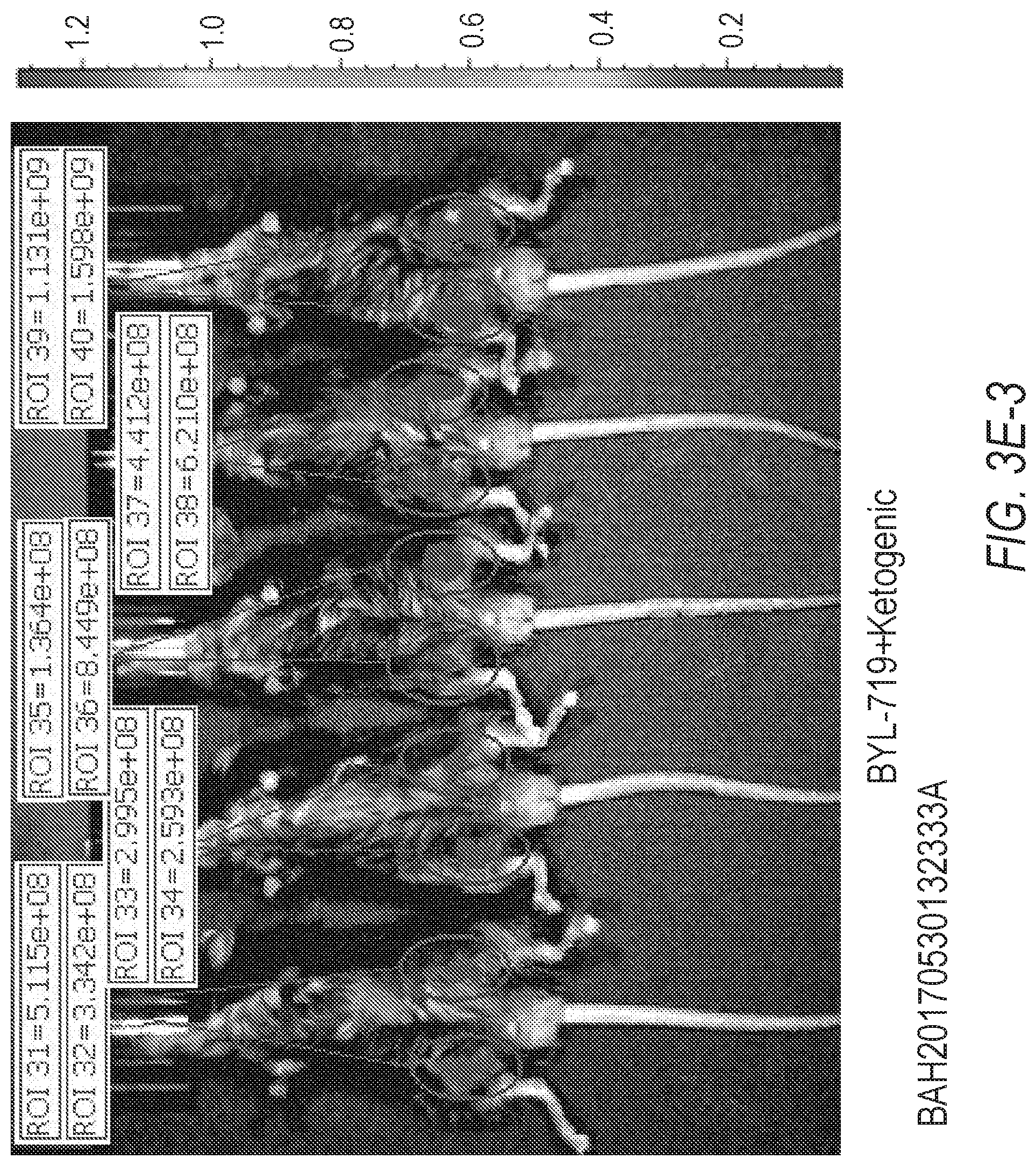 Patent US12324807 Figure 12 – Combination therapy for PI3K-associated disease or disorder