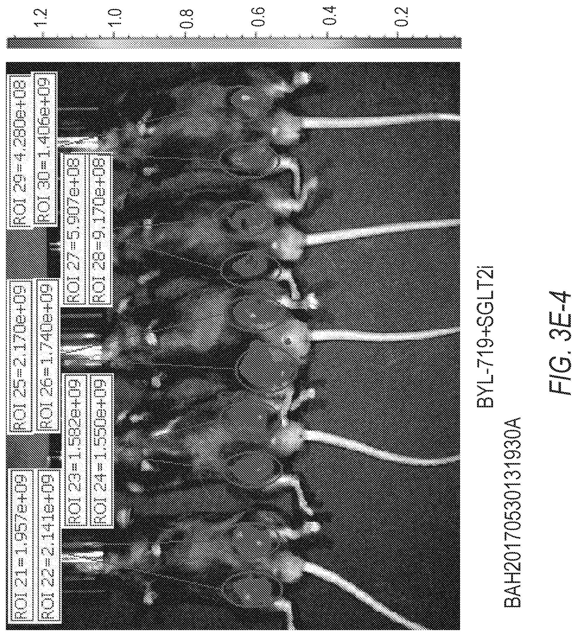 Patent US12324807 Figure 13 – Combination therapy for PI3K-associated disease or disorder