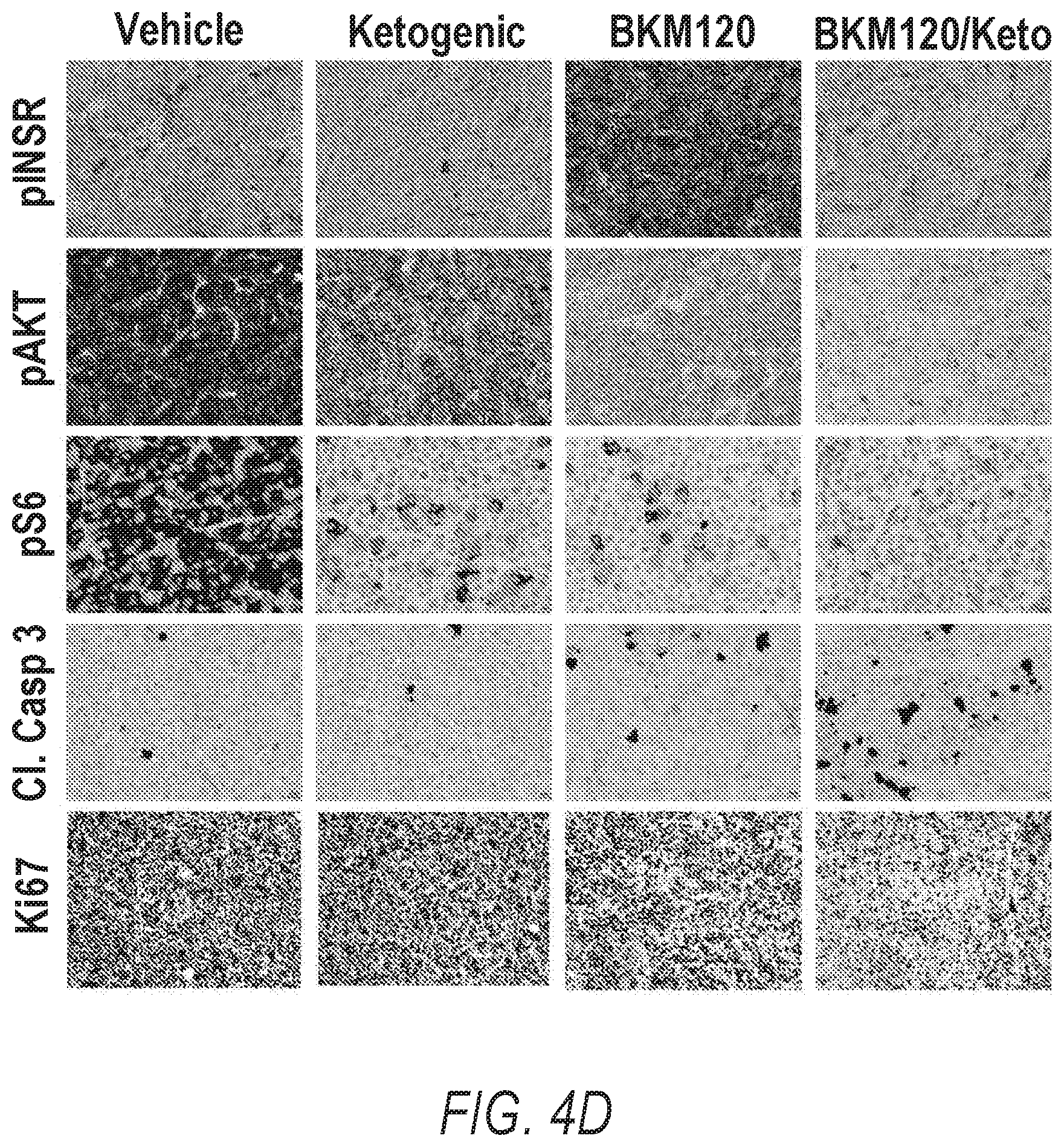 Patent US12324807 Figure 19 – Combination therapy for PI3K-associated disease or disorder