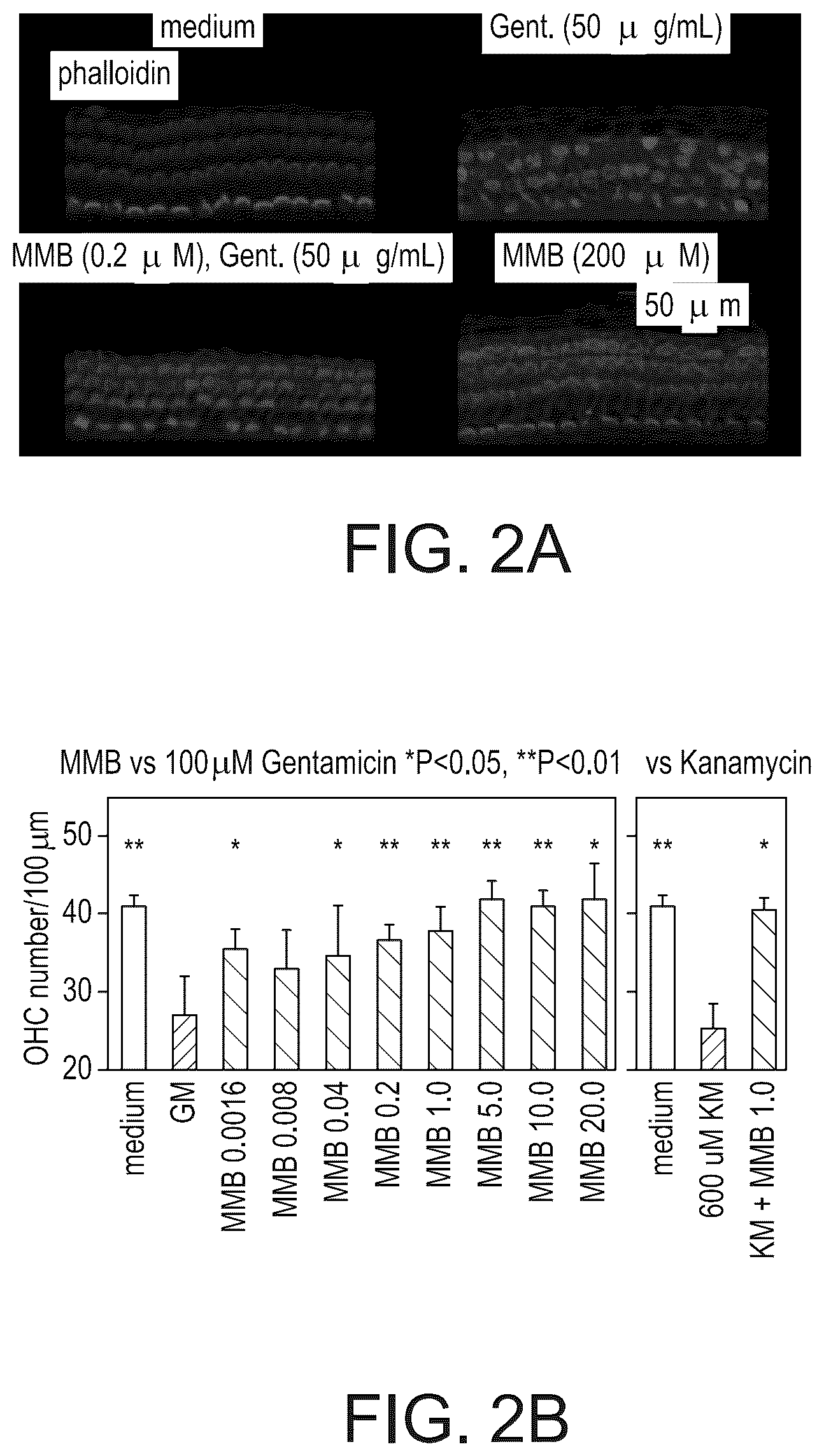 Patent US12324808 Figure 2 – Methods for the prevention and treatment of hearing loss