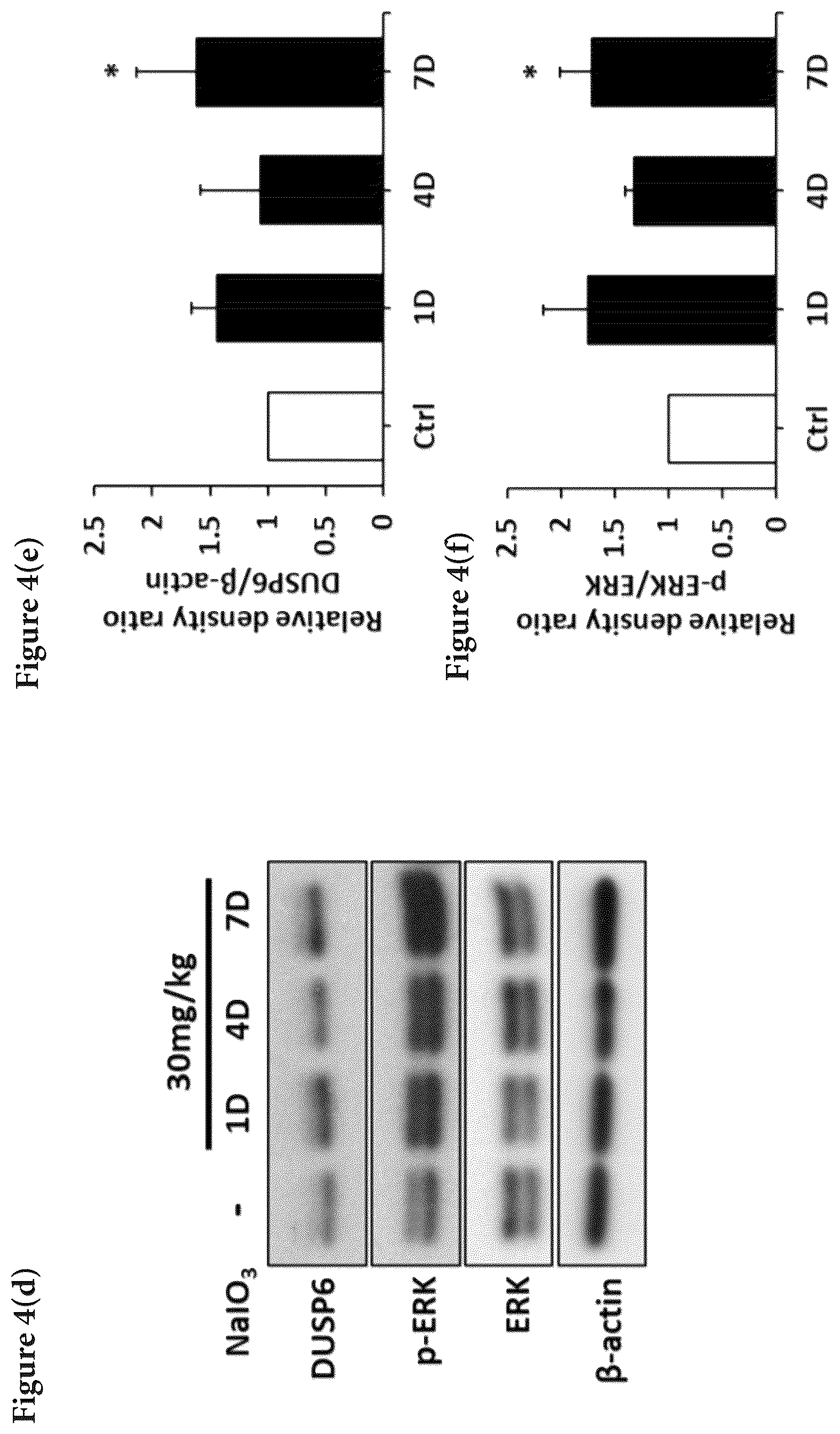 Patent US12324813 Figure 7 – Method and pharmaceutical composition for rescuing retinal degeneration