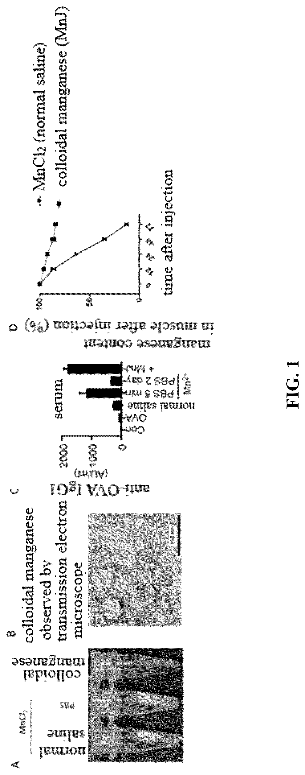 Patent US12324814 — Manganese composition for enhancing immunity — Figure 1