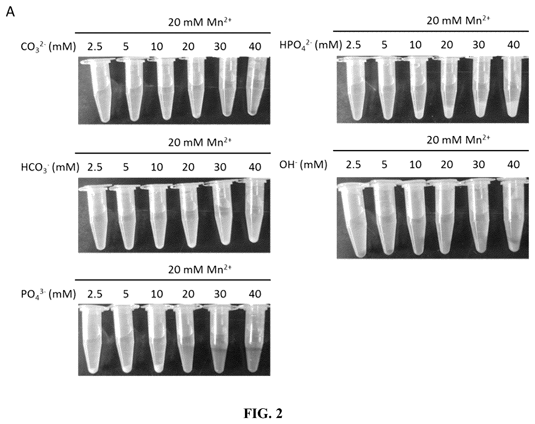 Patent US12324814 Figure 2 – Manganese composition for enhancing immunity