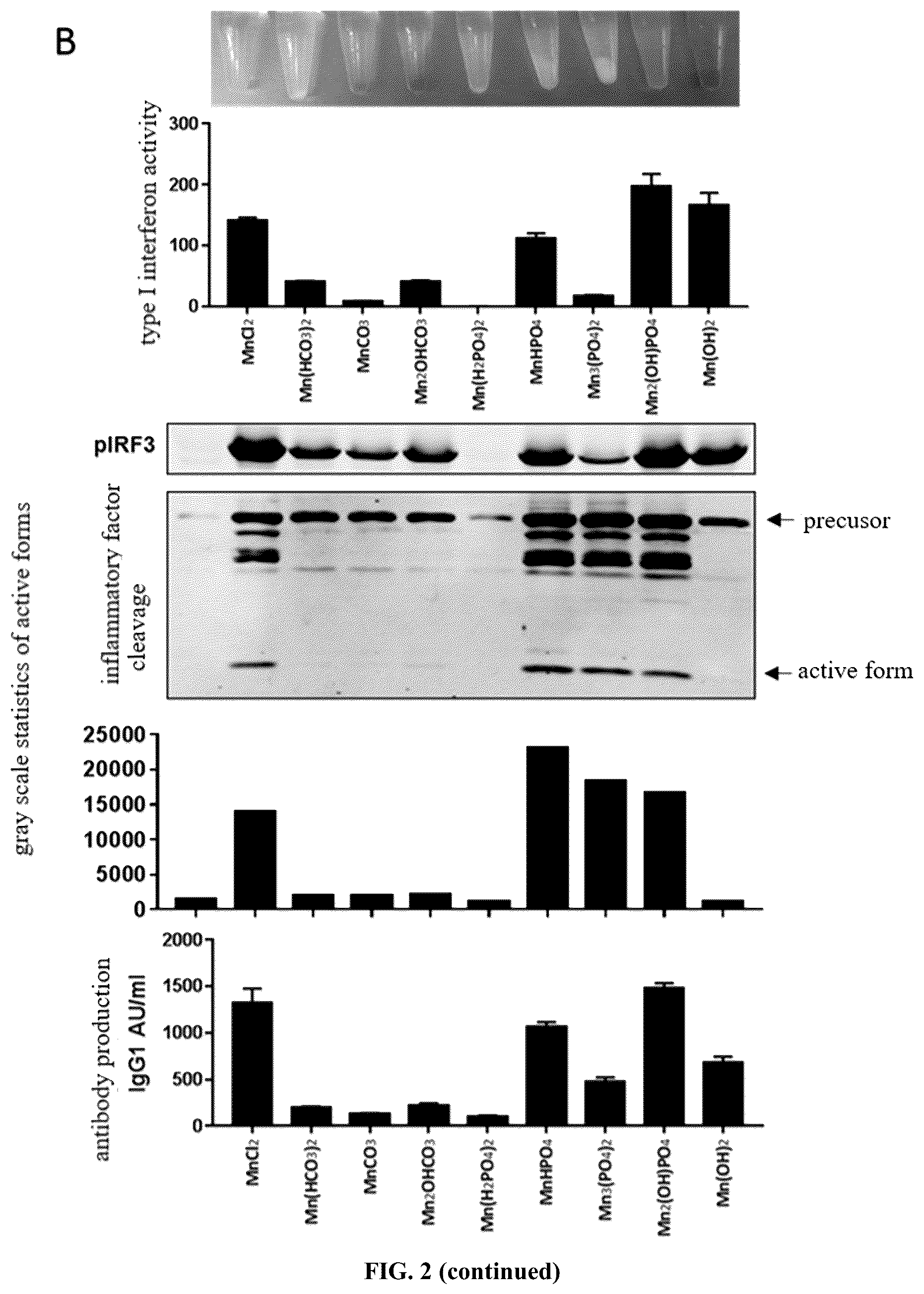 Patent US12324814 Figure 3 – Manganese composition for enhancing immunity