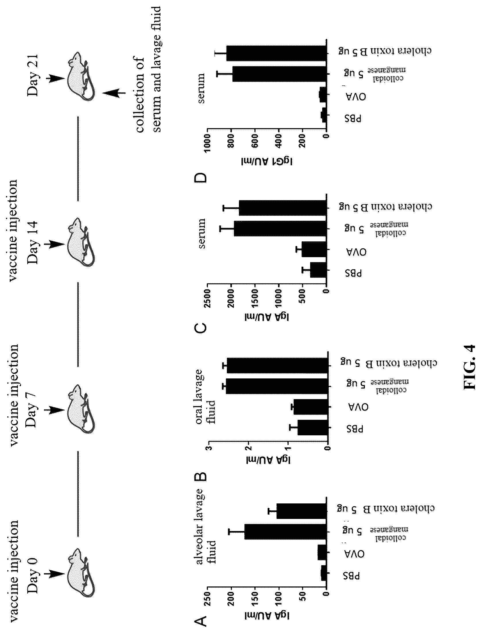 Patent US12324814 Figure 6 – Manganese composition for enhancing immunity