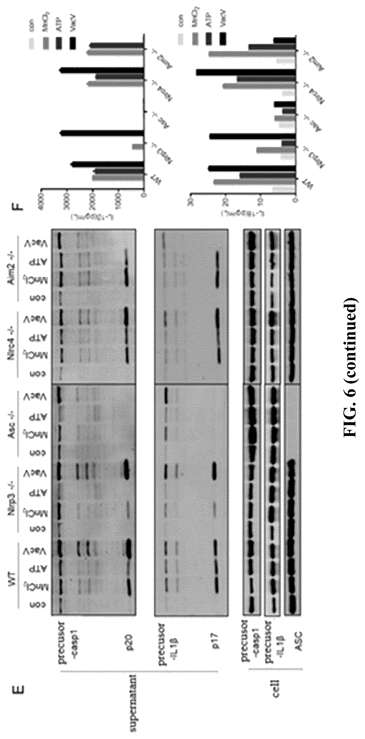Patent US12324814 Figure 9 – Manganese composition for enhancing immunity
