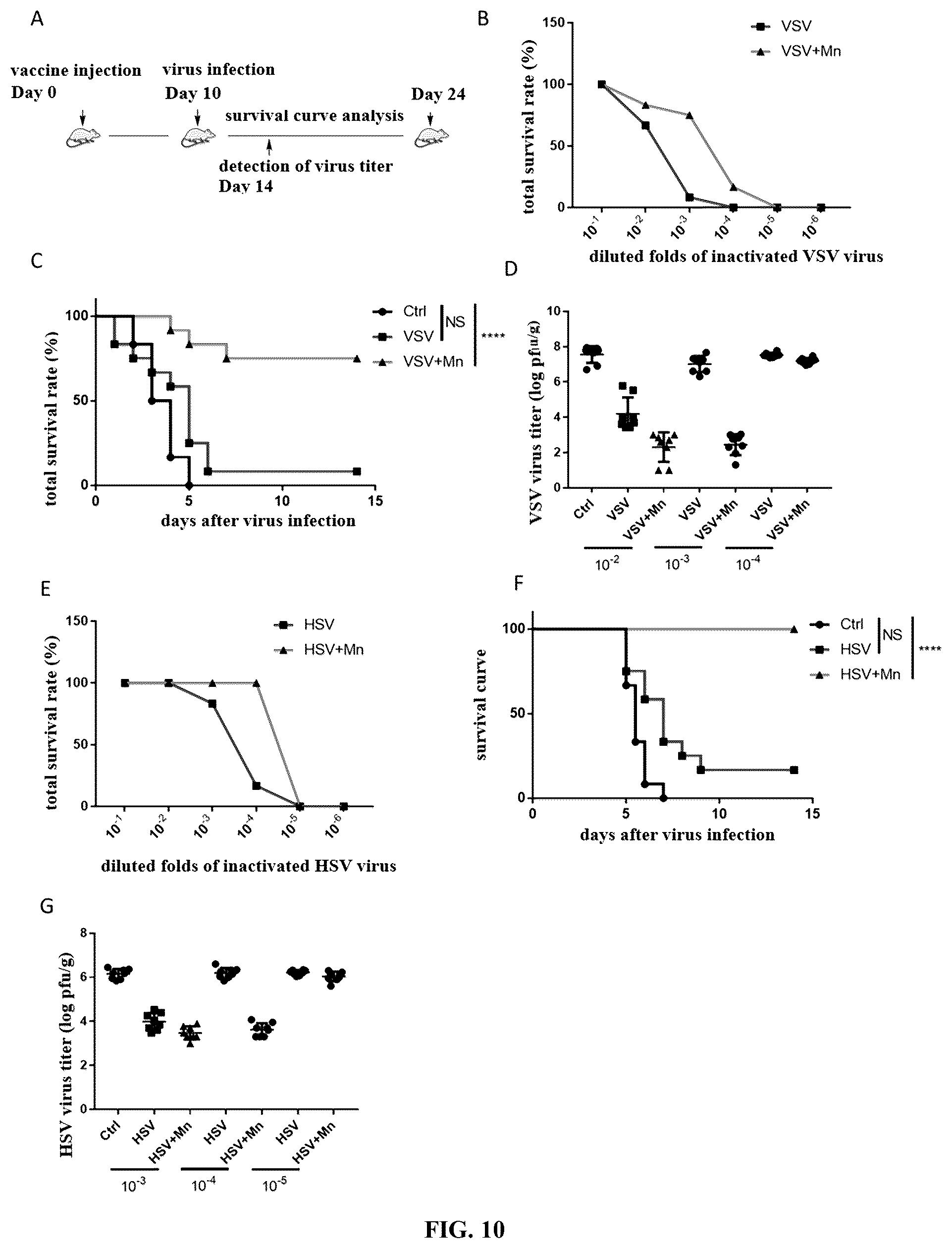 Patent US12324814 Figure 13 – Manganese composition for enhancing immunity