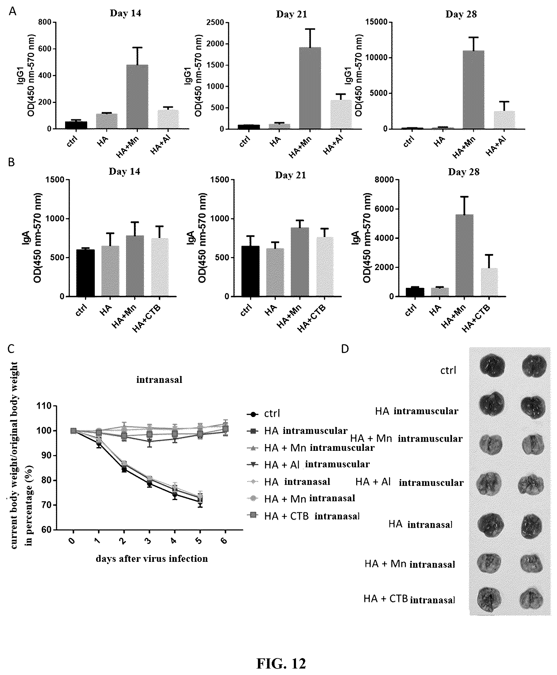 Patent US12324814 Figure 15 – Manganese composition for enhancing immunity