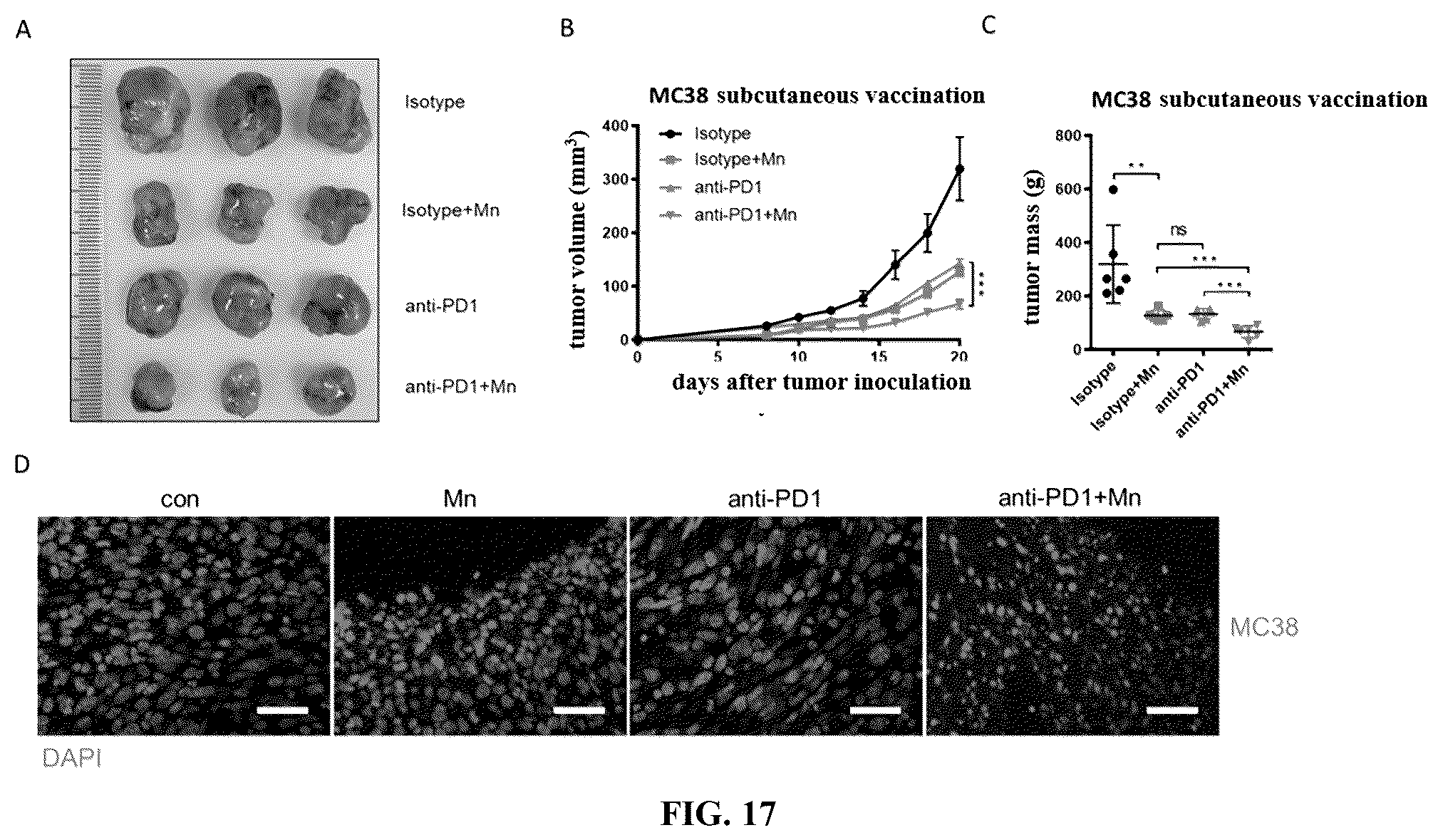 Patent US12324814 Figure 19 – Manganese composition for enhancing immunity