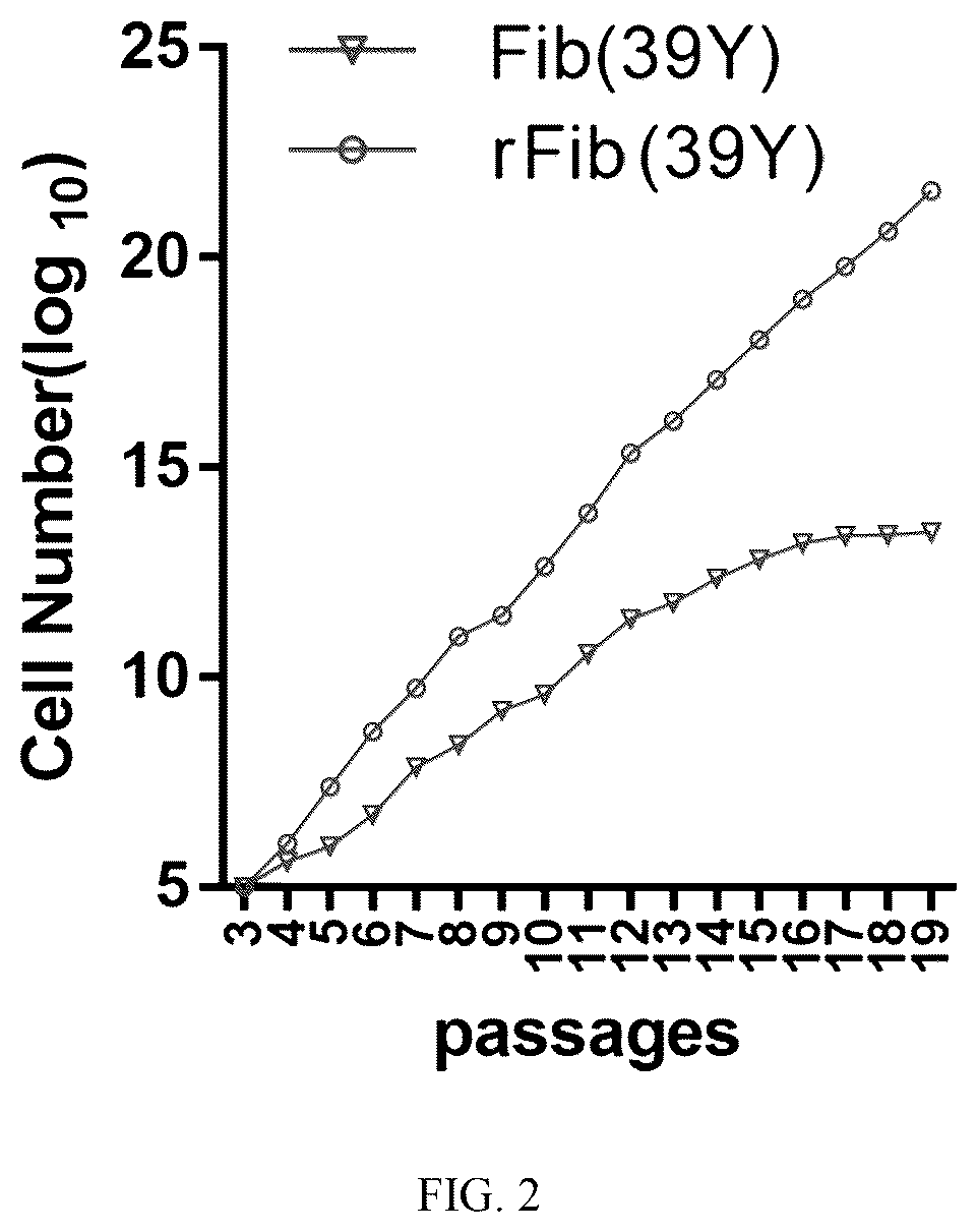 Patent US12324817 Figure 2 – Method of inducing dedifferentiation of somatic cells with small molecules to prepare rejuvenated mesenchymal stem cells and uses thereof