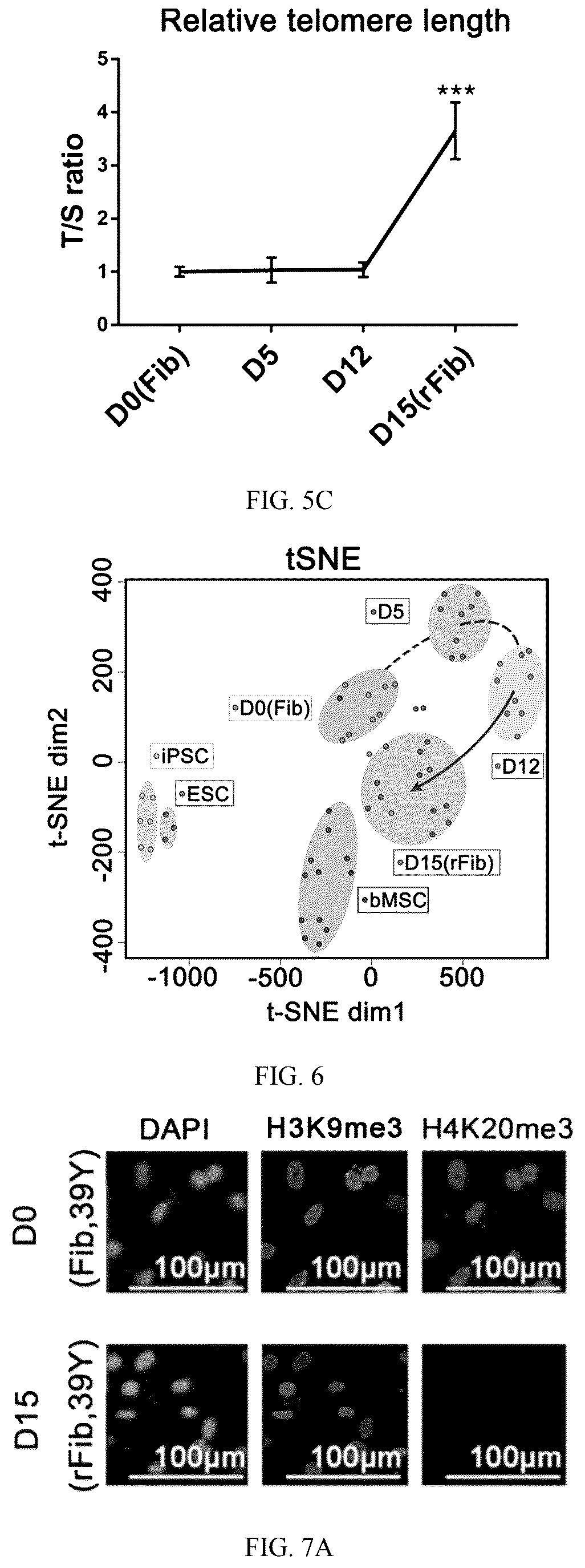 Patent US12324817 Figure 5 – Method of inducing dedifferentiation of somatic cells with small molecules to prepare rejuvenated mesenchymal stem cells and uses thereof