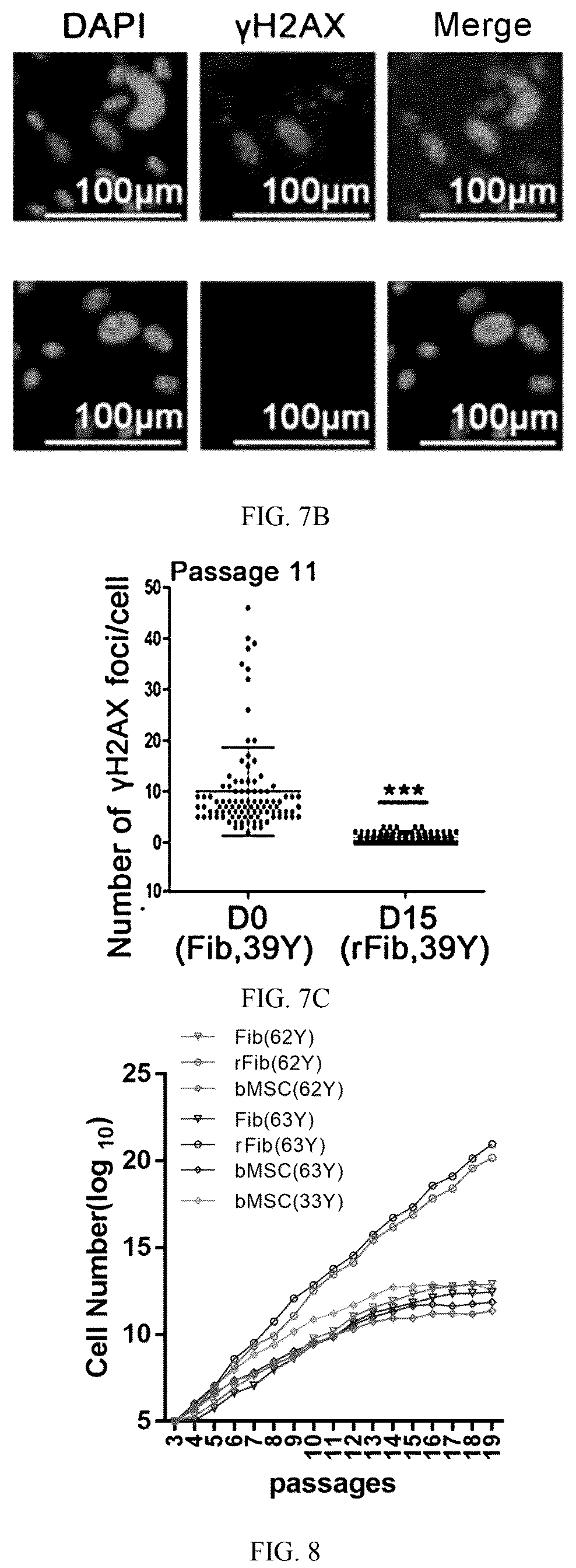 Patent US12324817 Figure 6 – Method of inducing dedifferentiation of somatic cells with small molecules to prepare rejuvenated mesenchymal stem cells and uses thereof