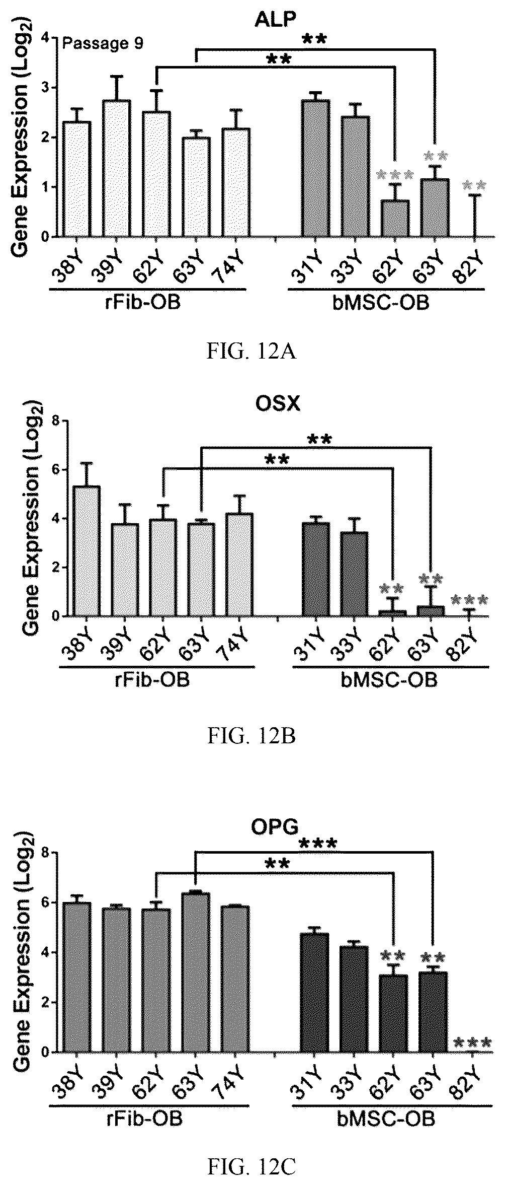 Patent US12324817 Figure 12 – Method of inducing dedifferentiation of somatic cells with small molecules to prepare rejuvenated mesenchymal stem cells and uses thereof