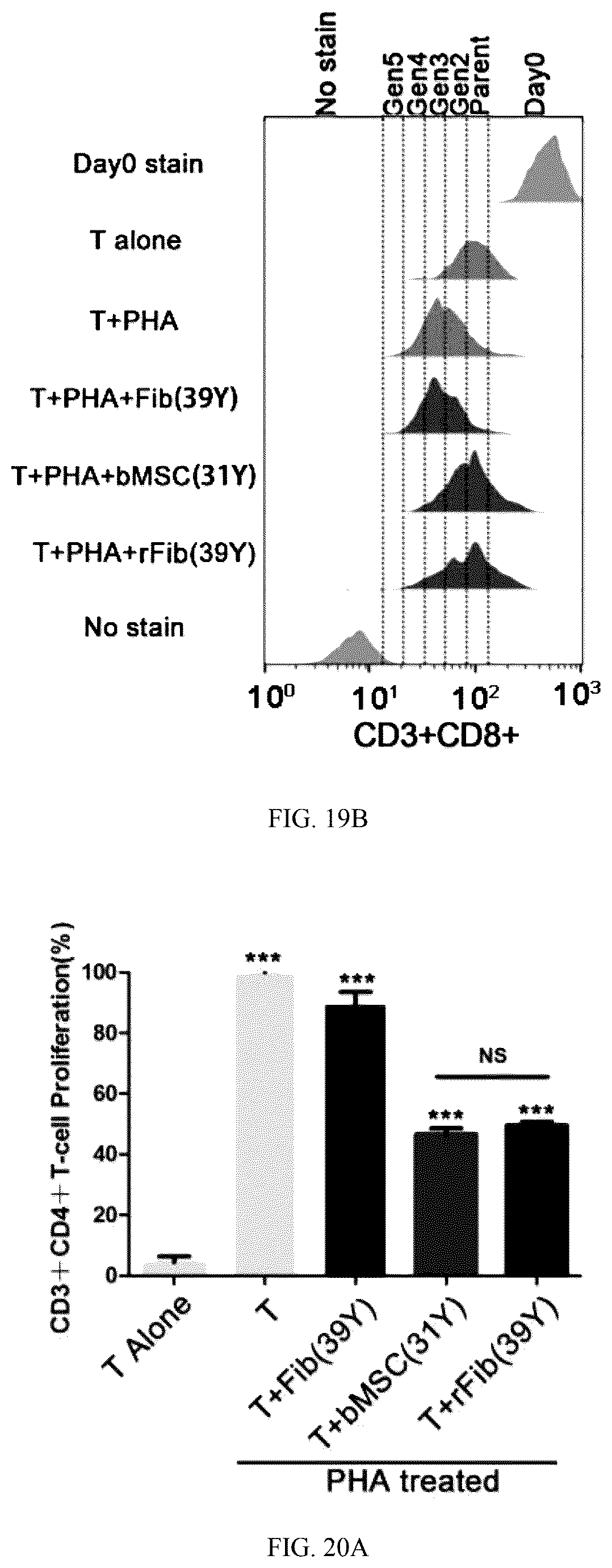 Patent US12324817 Figure 19 – Method of inducing dedifferentiation of somatic cells with small molecules to prepare rejuvenated mesenchymal stem cells and uses thereof