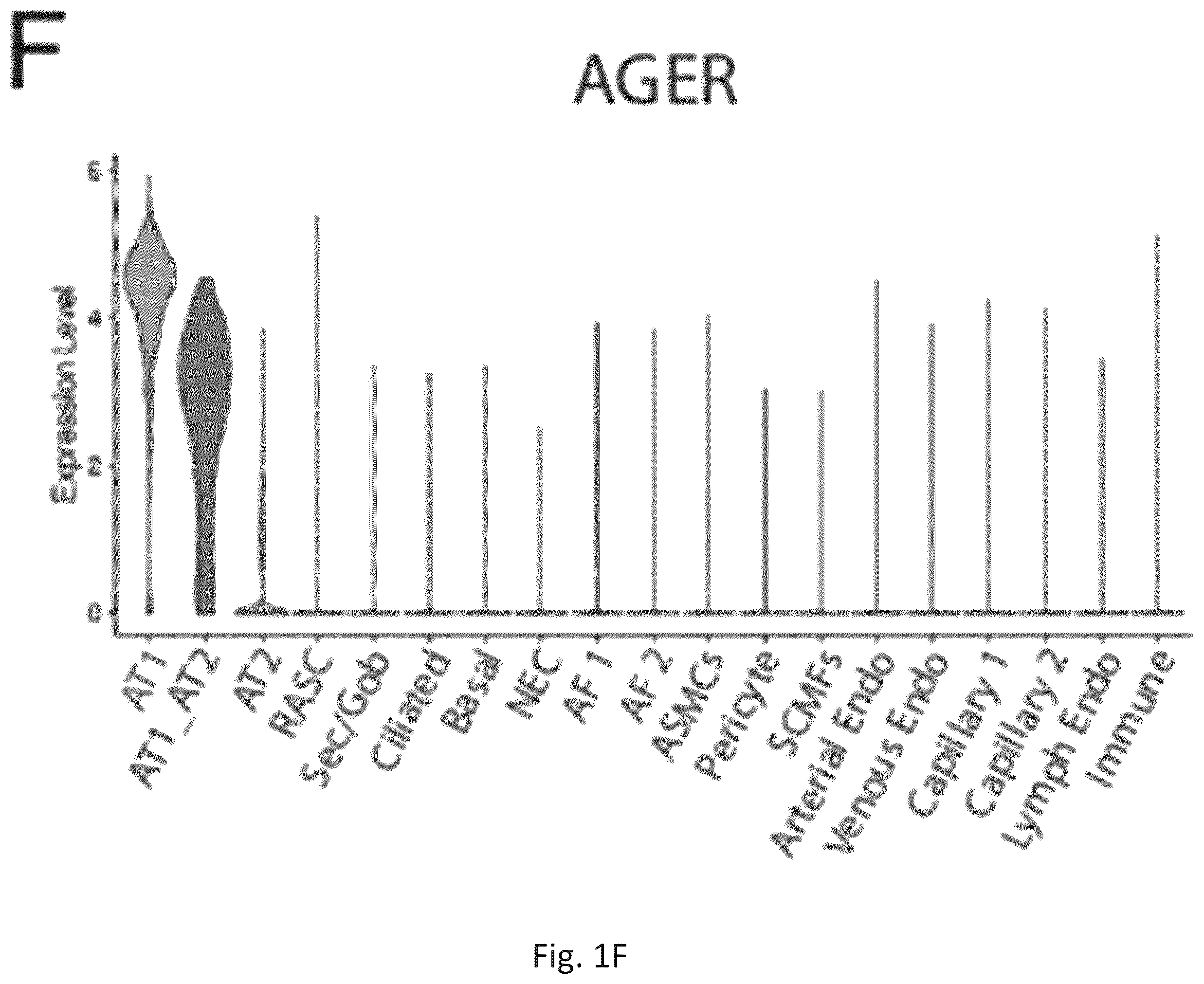 Patent US12324818 Figure 7 – Generation of alveolar epithelial type 1 (AT1) cells