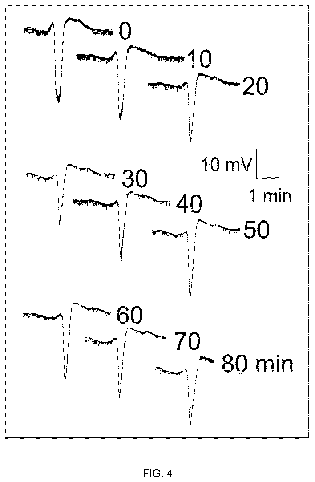 Patent US12324827 Figure 3 – Combination therapy for the treatment of migraines