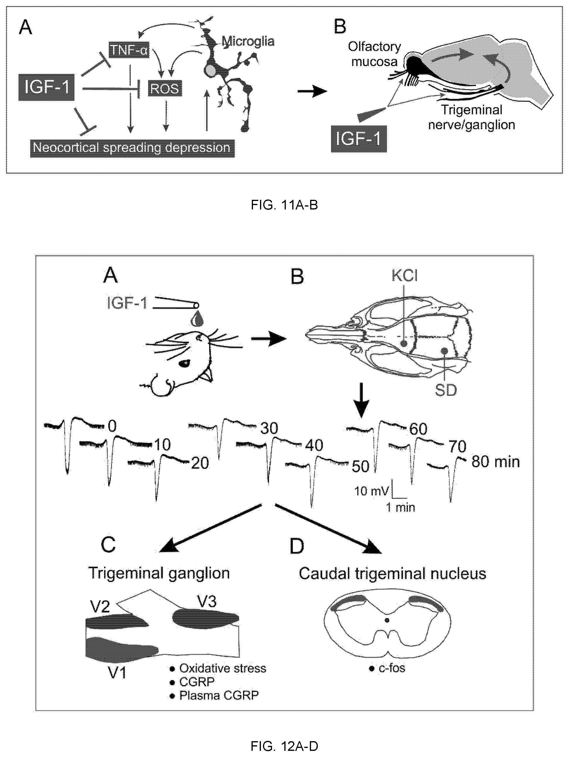 Patent US12324827 Figure 7 – Combination therapy for the treatment of migraines