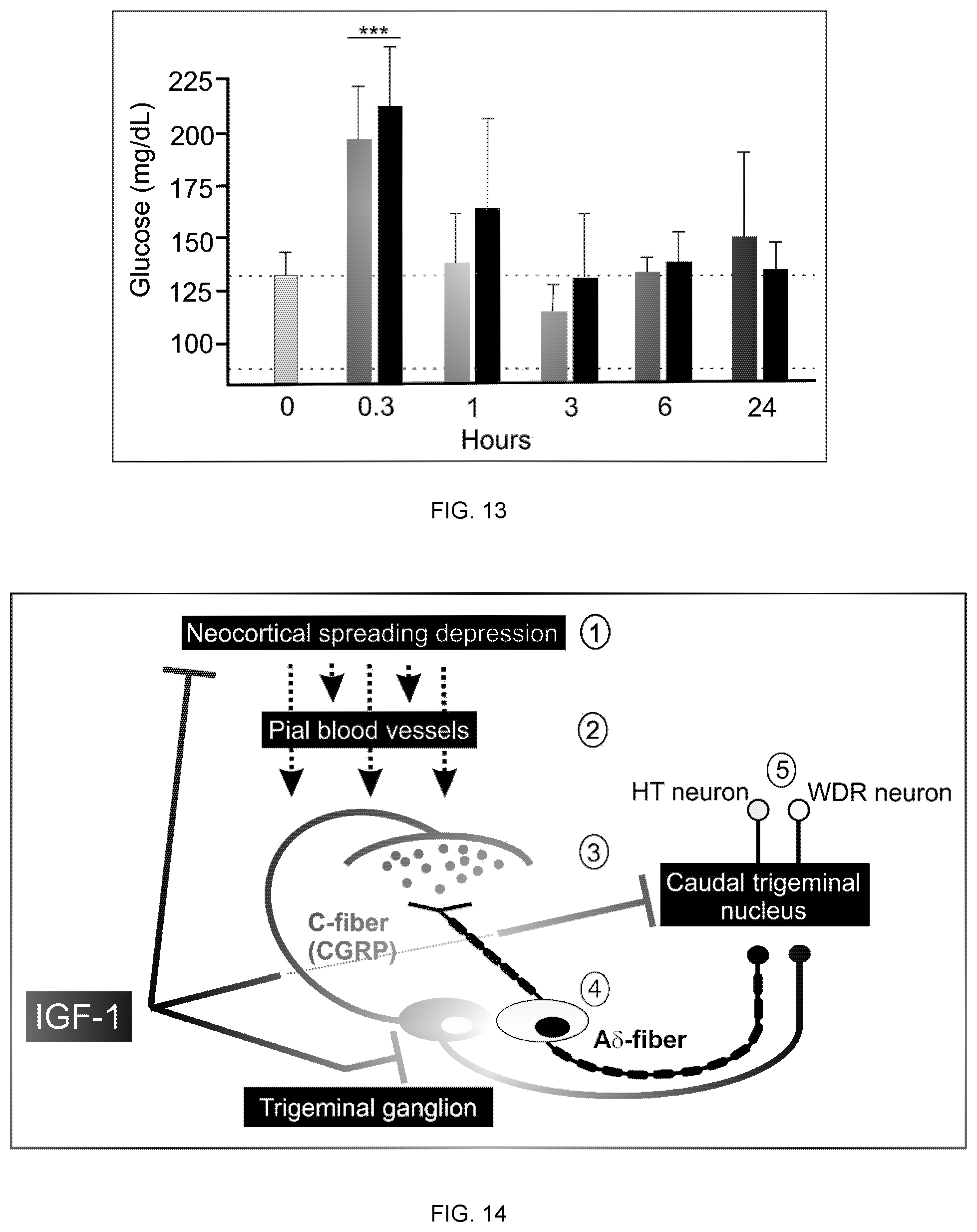 Patent US12324827 Figure 8 – Combination therapy for the treatment of migraines