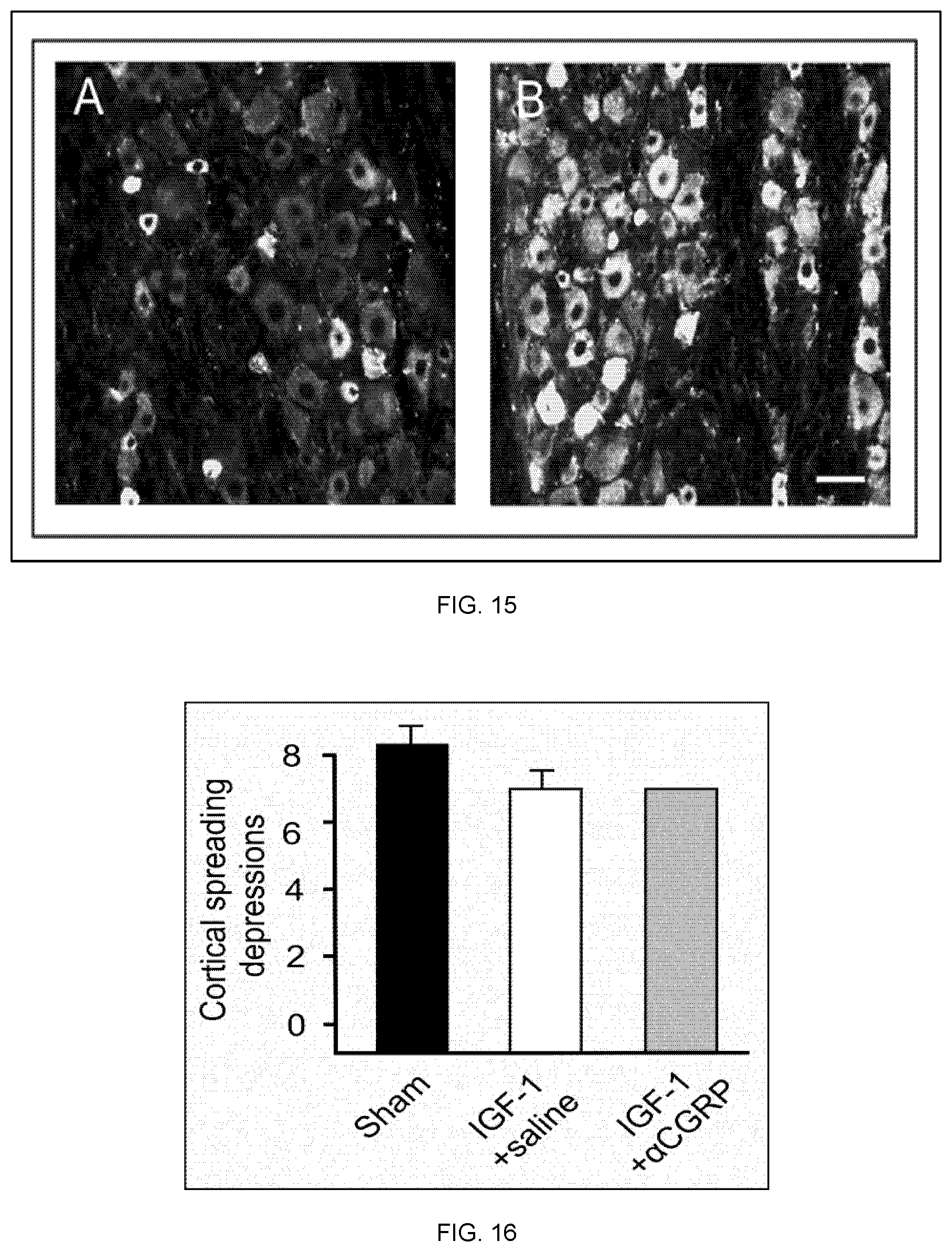 Patent US12324827 Figure 9 – Combination therapy for the treatment of migraines