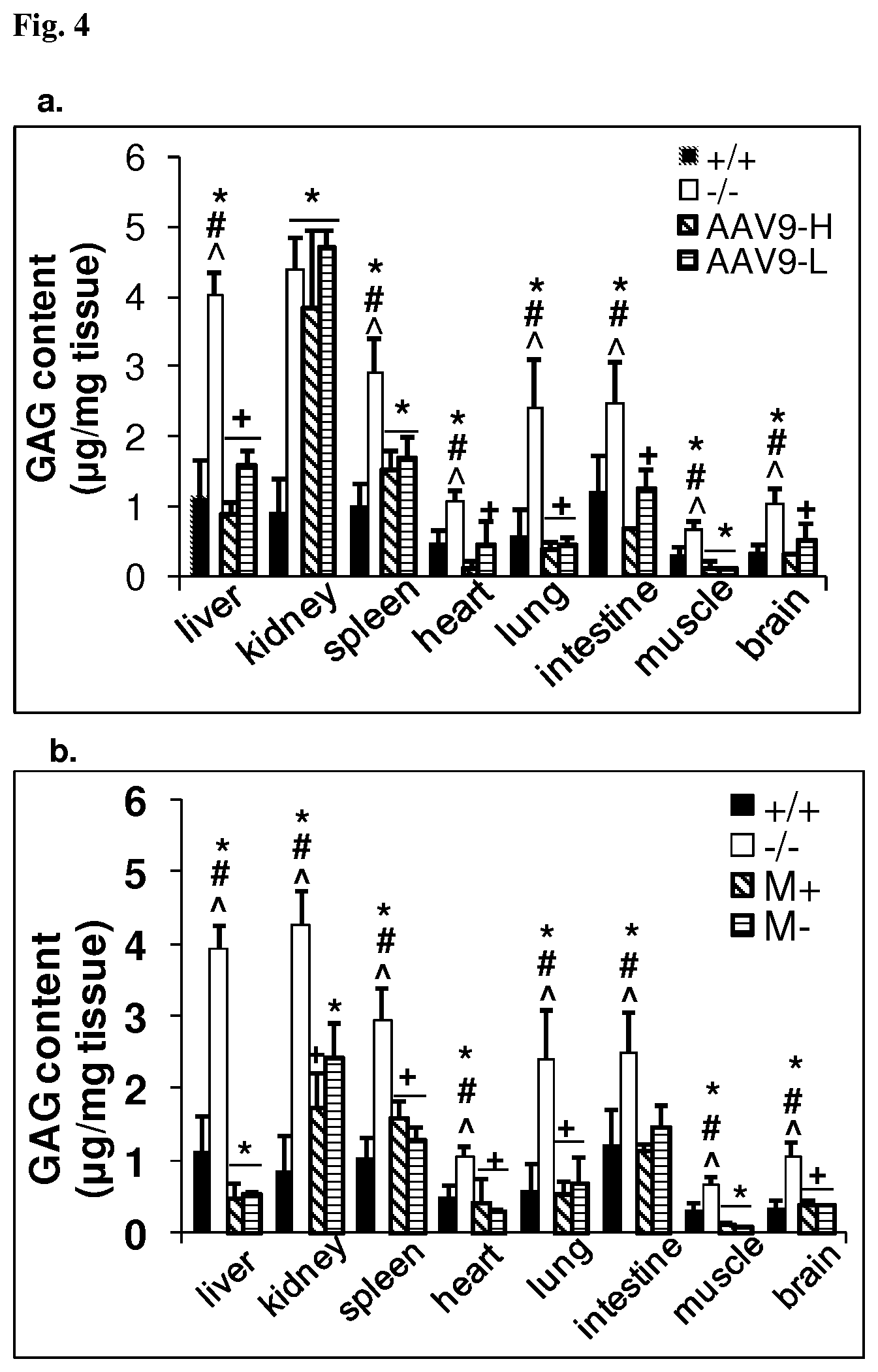 Patent US12324829 Figure 5 – Methods for delivery of polynucleotides by adeno-associated virus for lysosomal storage disorders