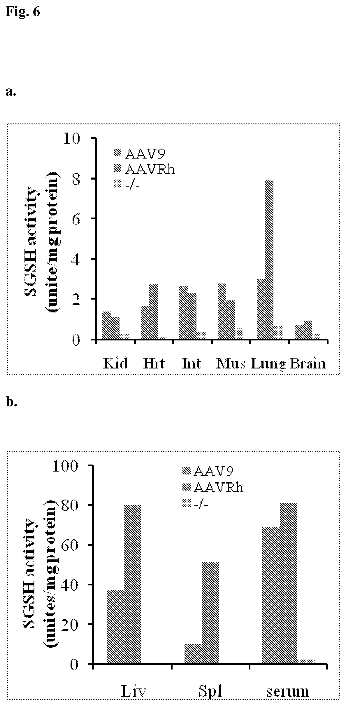 Patent US12324829 Figure 7 – Methods for delivery of polynucleotides by adeno-associated virus for lysosomal storage disorders
