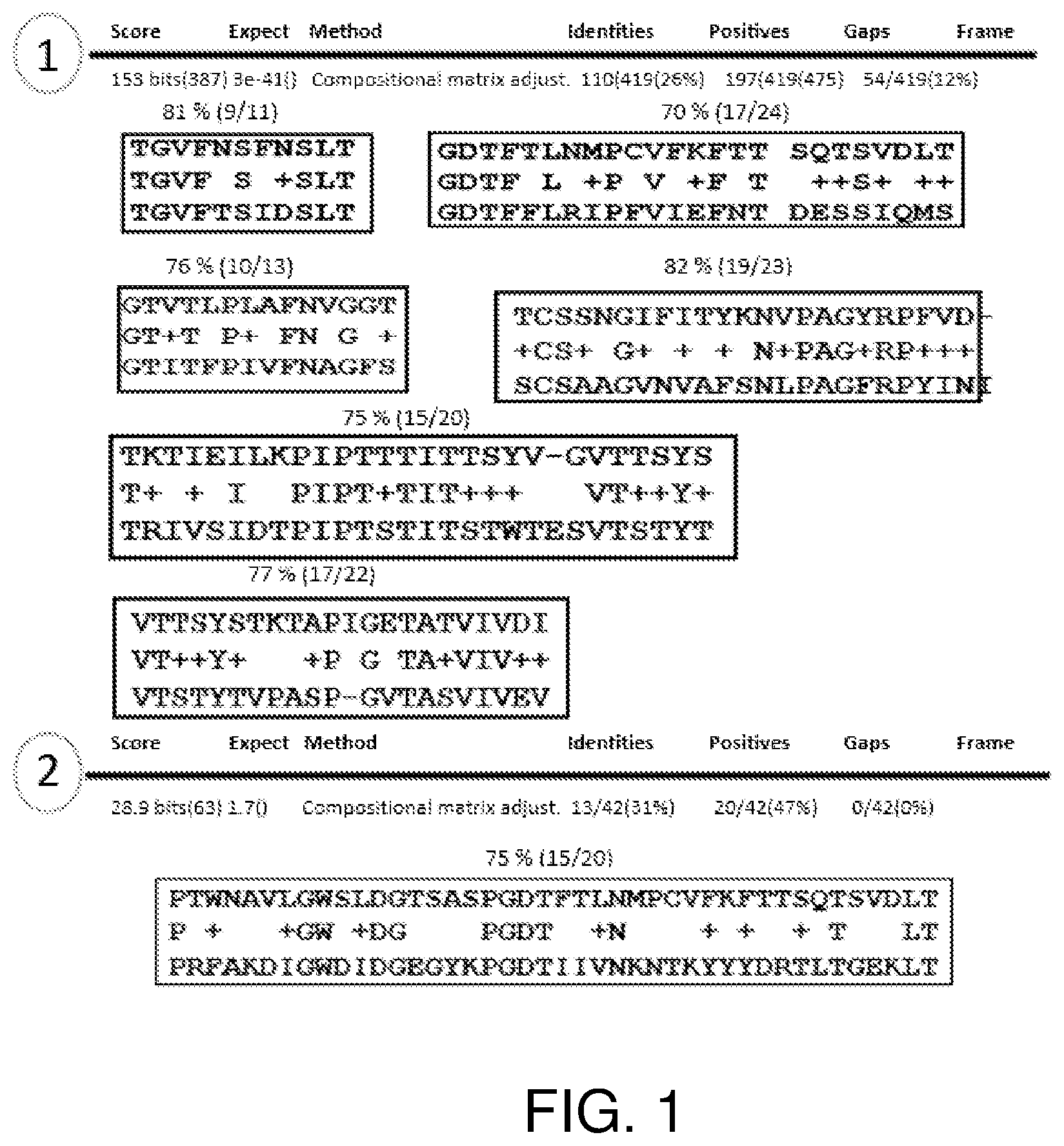 Patent US12324830 — Methods of treatment for Candida auris infections — Figure 1