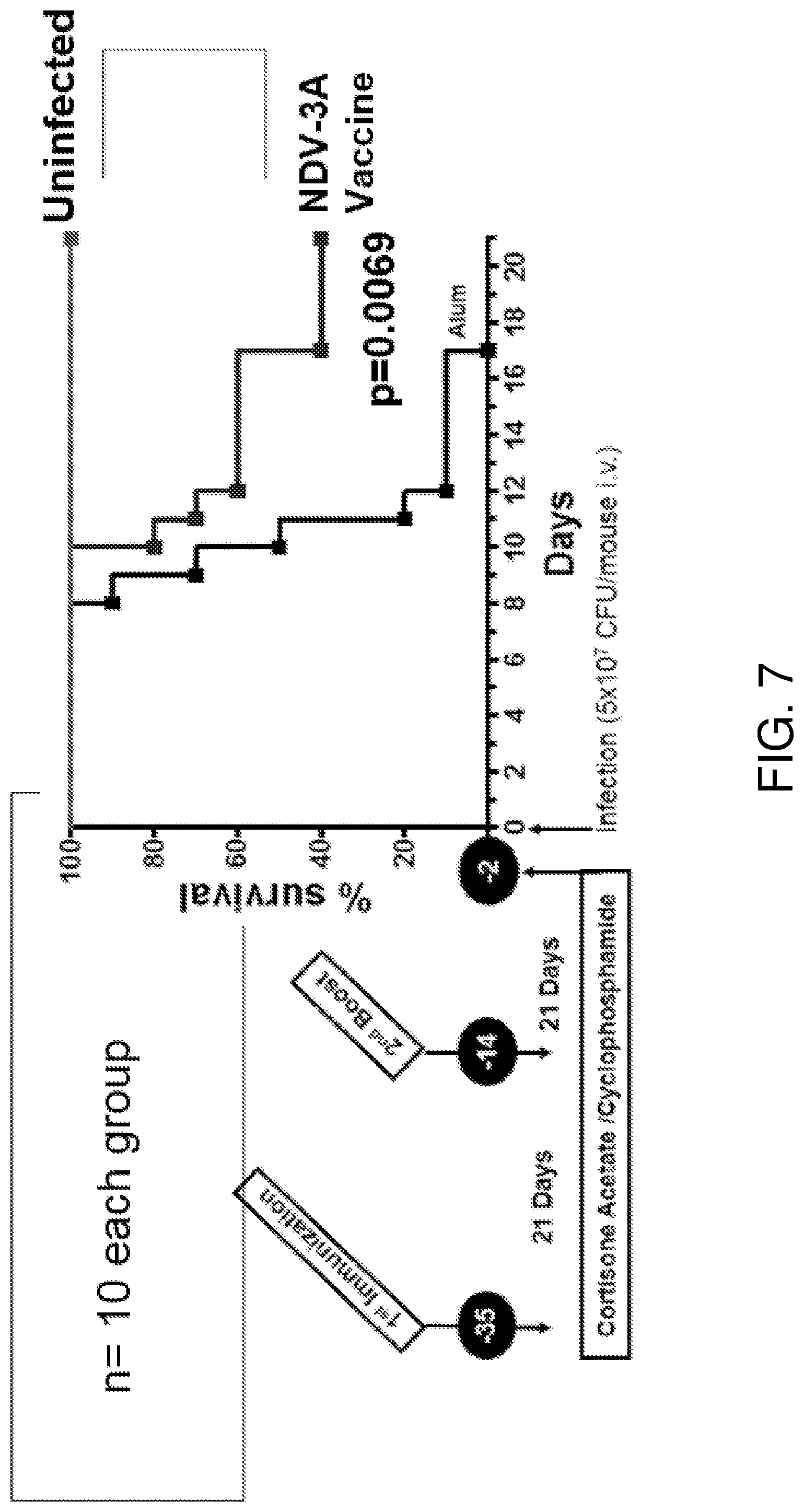 Patent US12324830 Figure 6 – Methods of treatment for Candida auris infections