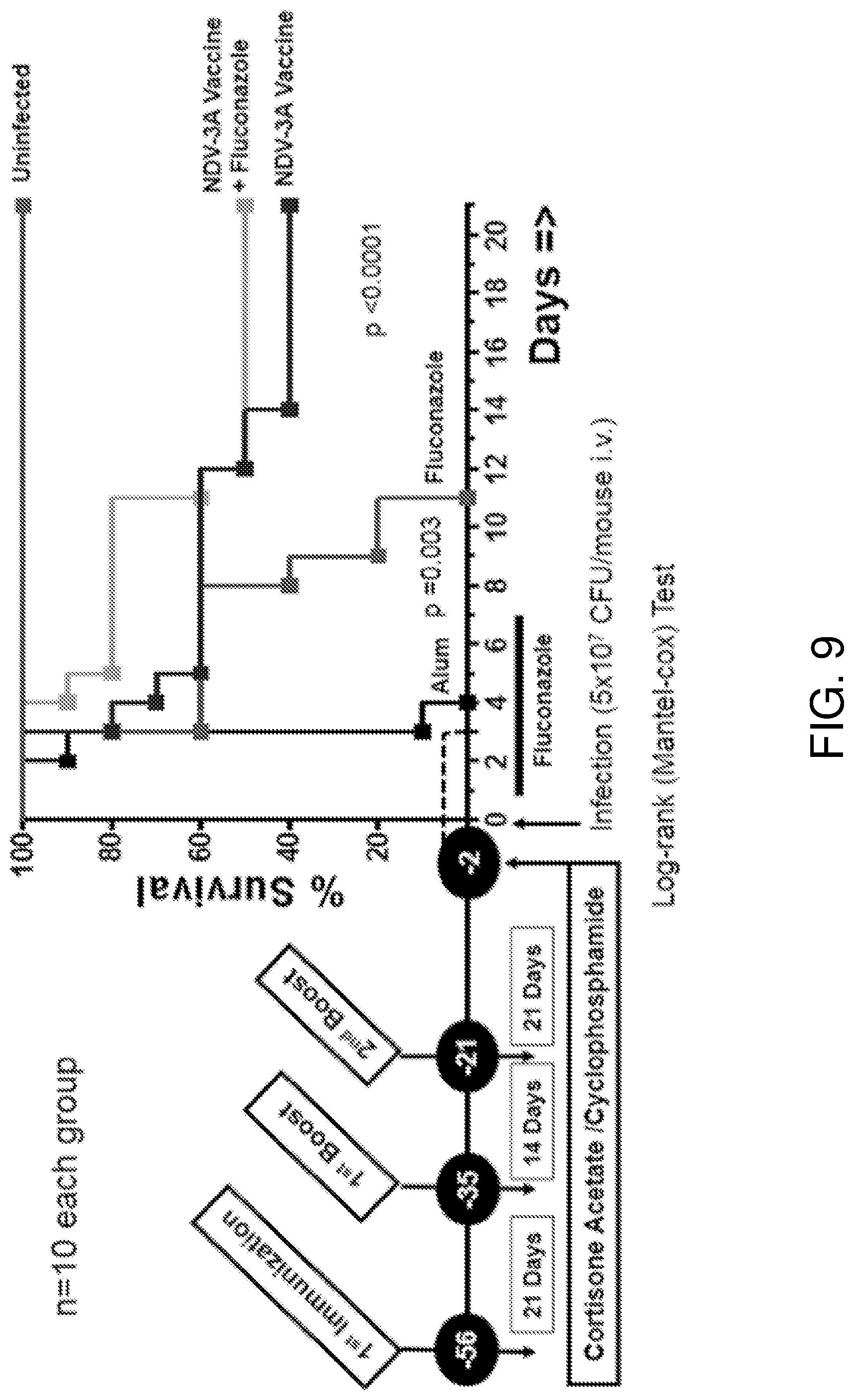 Patent US12324830 Figure 9 – Methods of treatment for Candida auris infections