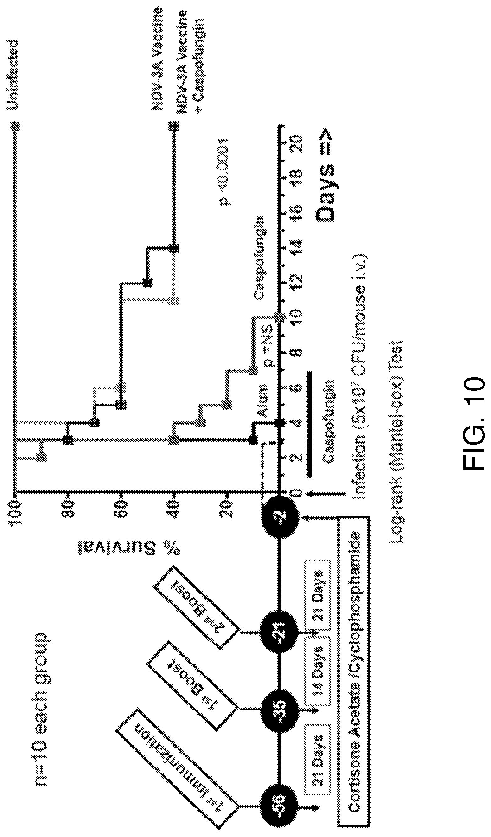 Patent US12324830 Figure 10 – Methods of treatment for Candida auris infections