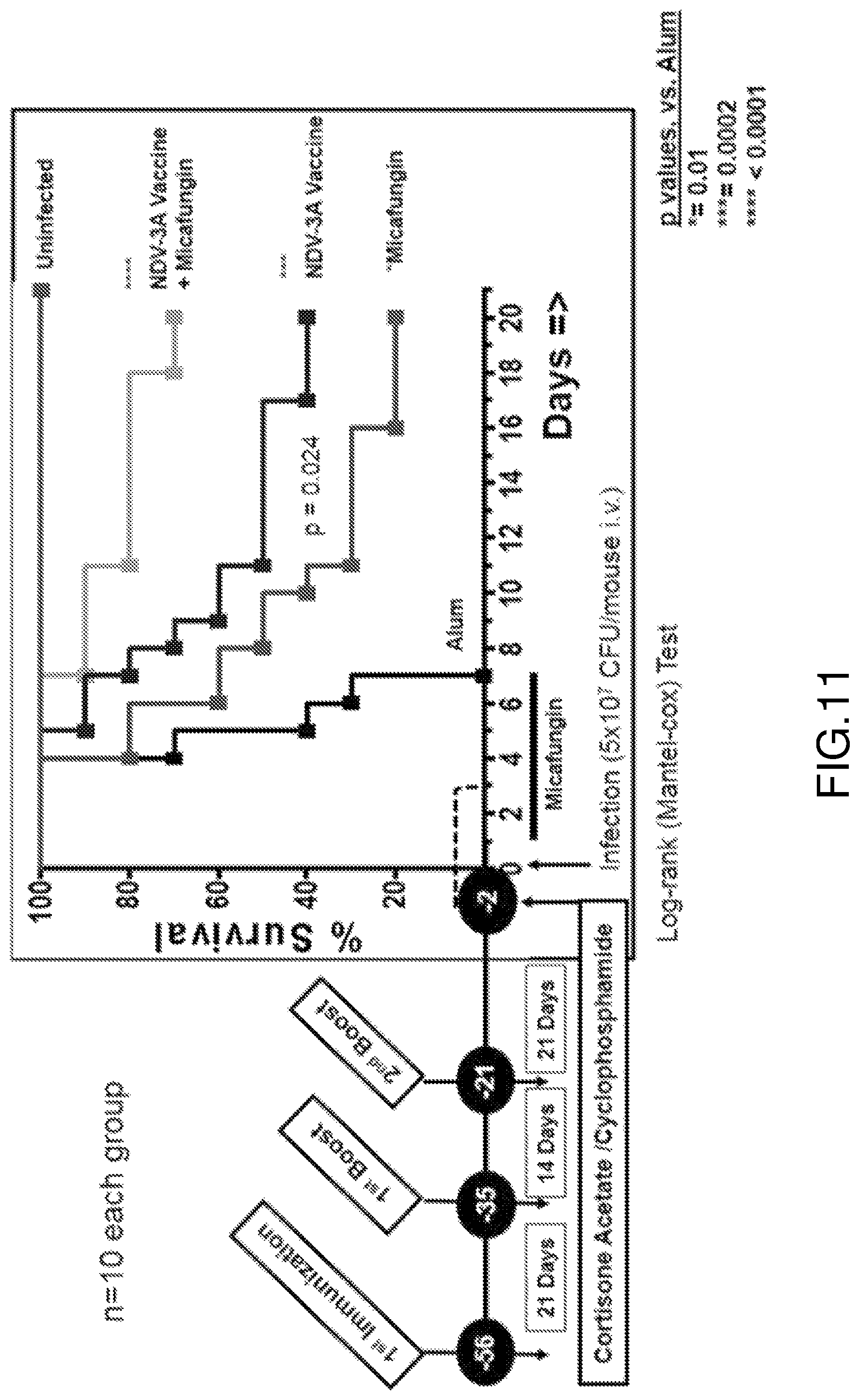 Patent US12324830 Figure 11 – Methods of treatment for Candida auris infections