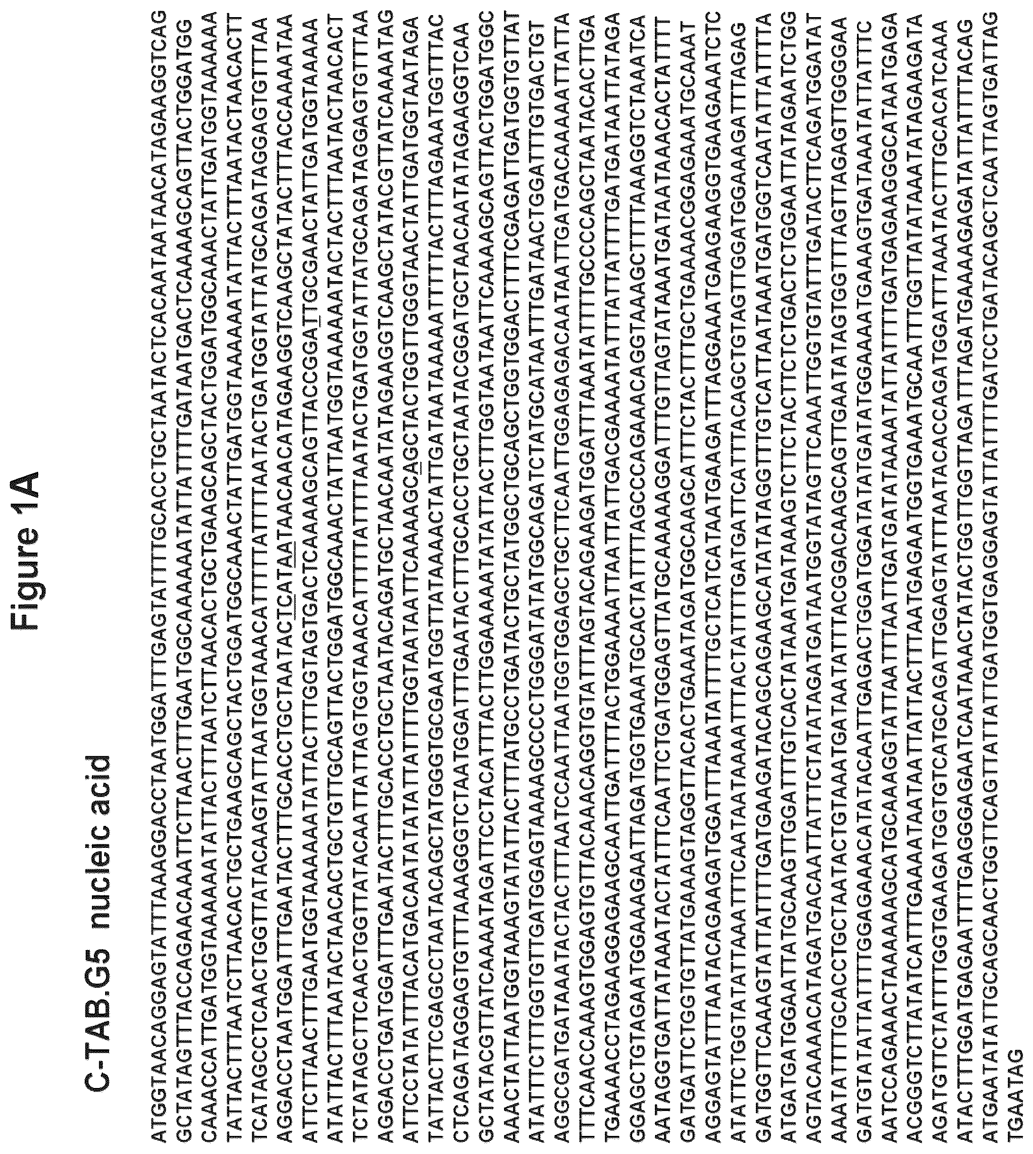 Patent US12324831 Figure 1 – Isolated polypeptide of the toxin A and toxin B proteins of C. difficile and uses thereof