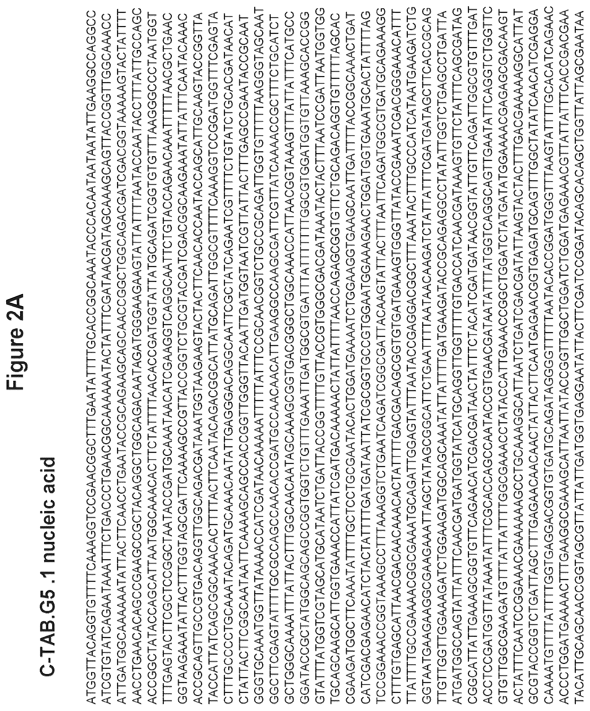 Patent US12324831 Figure 3 – Isolated polypeptide of the toxin A and toxin B proteins of C. difficile and uses thereof