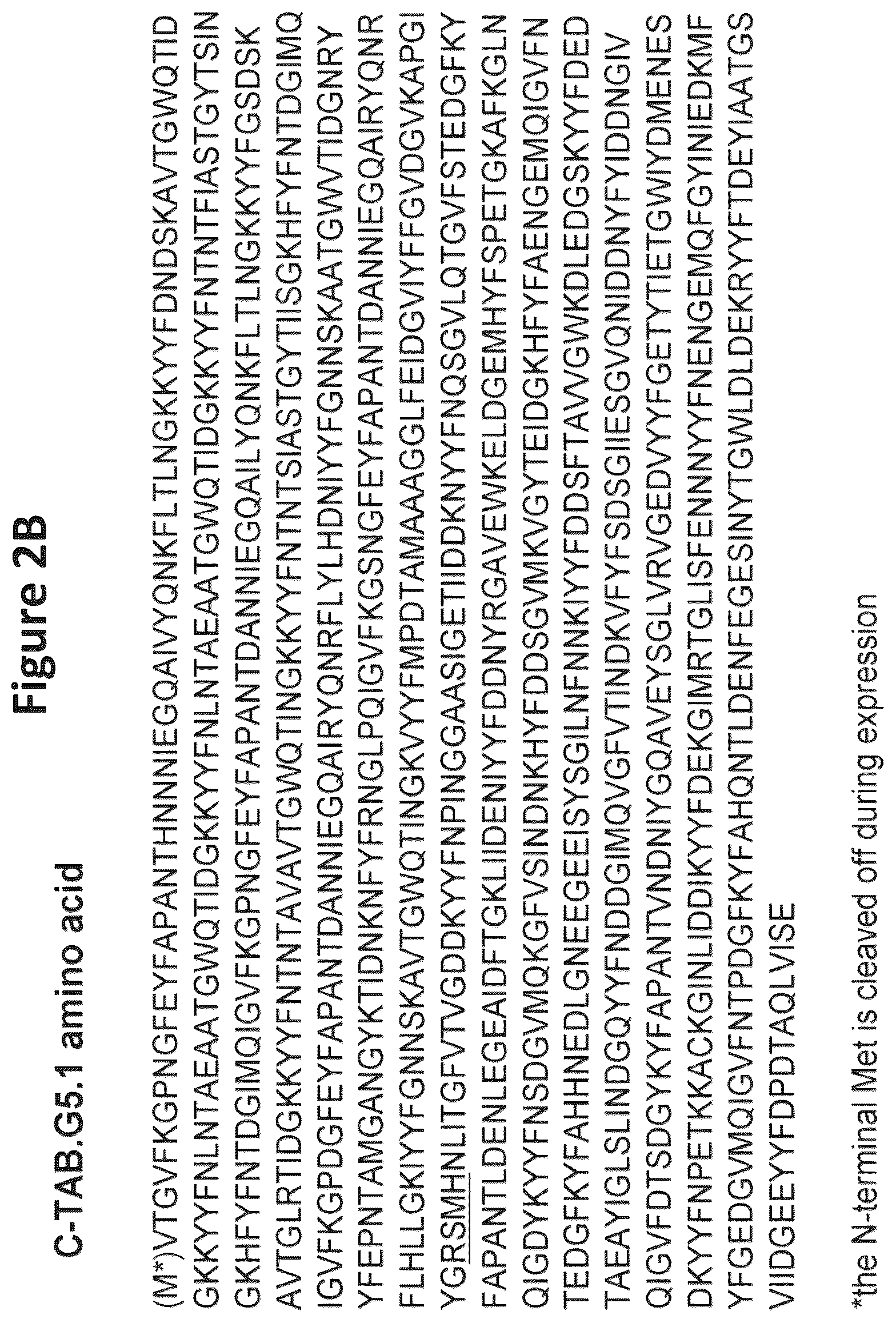 Patent US12324831 Figure 4 – Isolated polypeptide of the toxin A and toxin B proteins of C. difficile and uses thereof